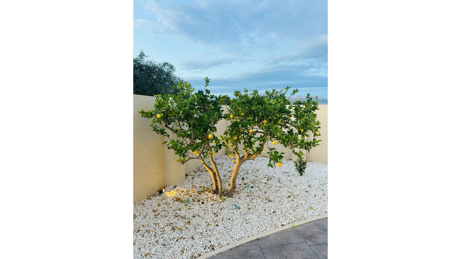 Resale - Villa - L'alfas Del Pi - L'Alfás del Pi Centro