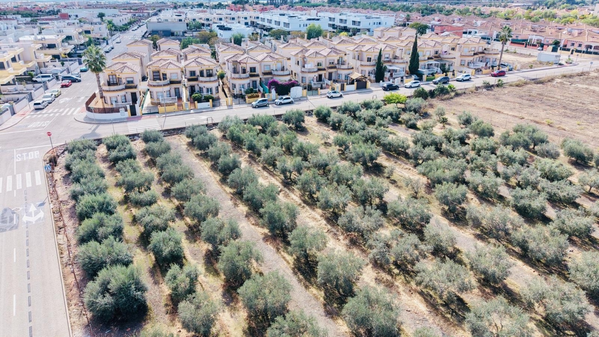 Resale - Villa - Los Montesinos - La Herrada