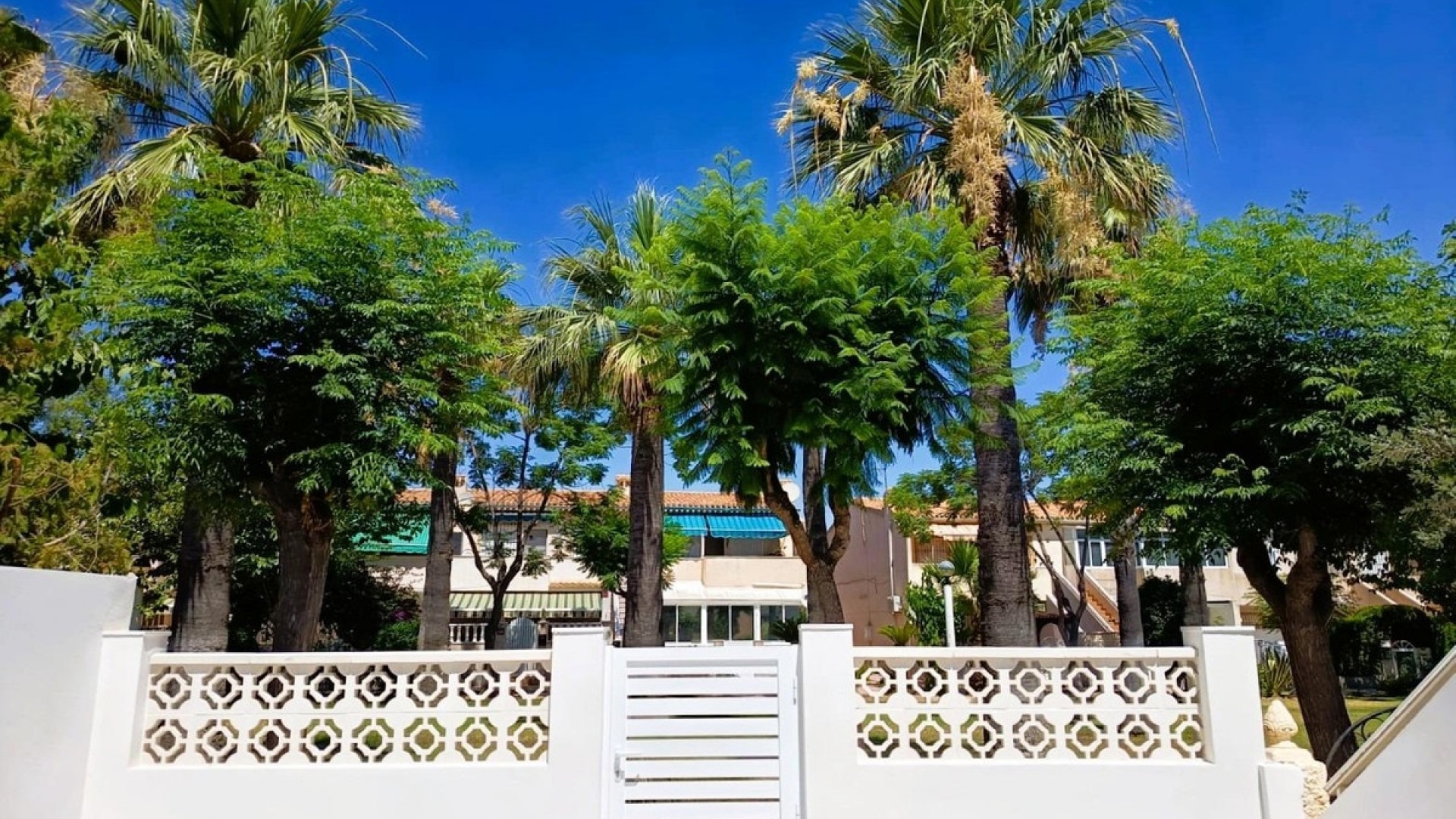 Resale - Villa - Orihuela - La Regia
