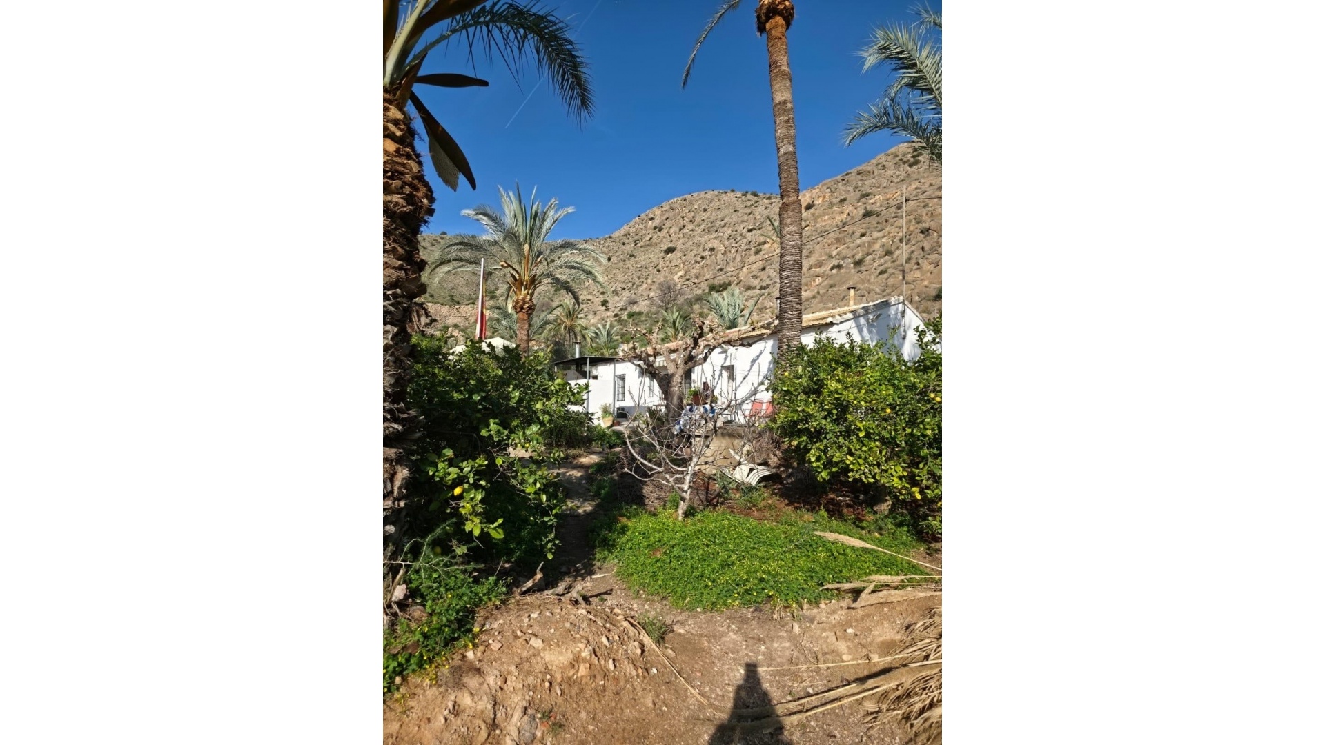 Resale - Villa - Orihuela - Orihuela Centro