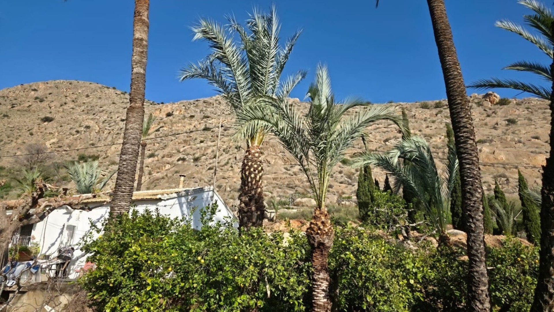Resale - Villa - Orihuela - Orihuela Centro
