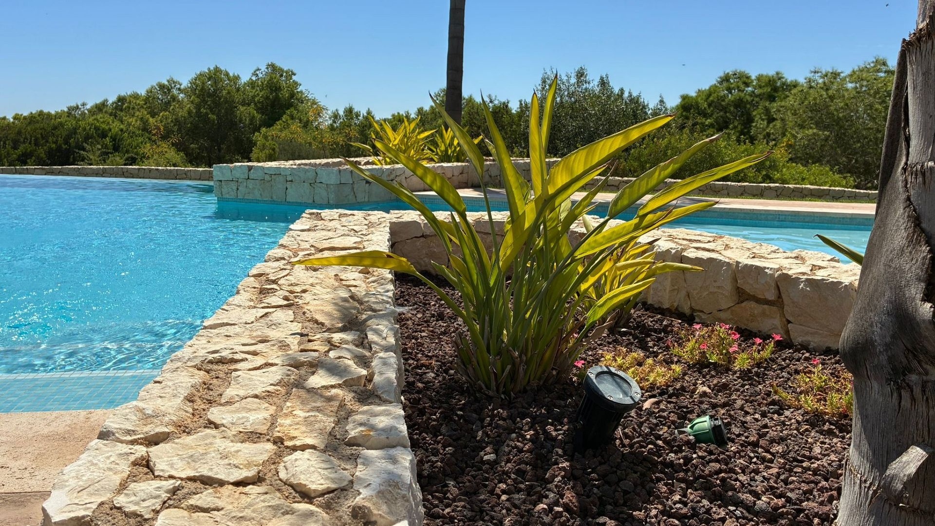 Resale - Villa - Pilar de la Horadada - Lo Romero Golf