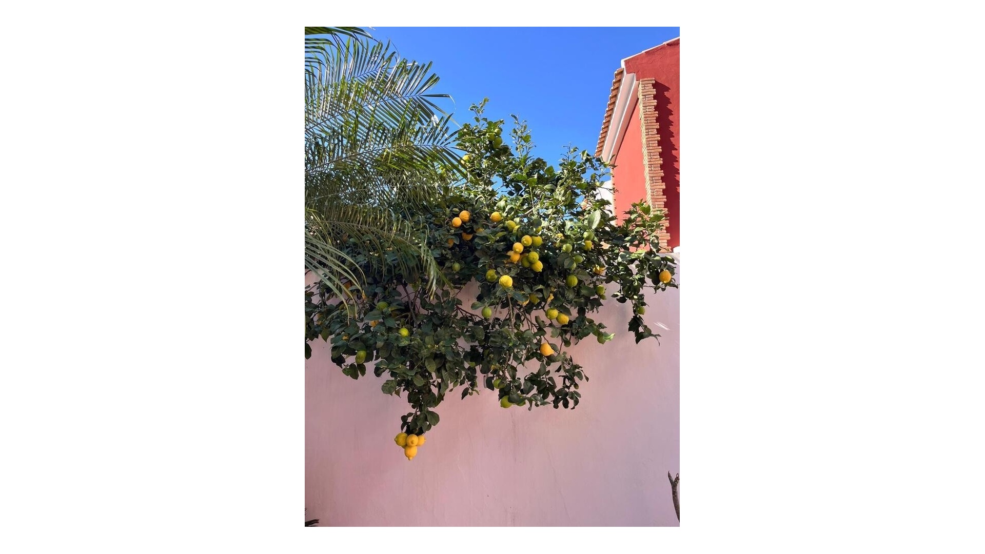 Resale - Villa - Pilar de la Horadada - Torre De La Horadada