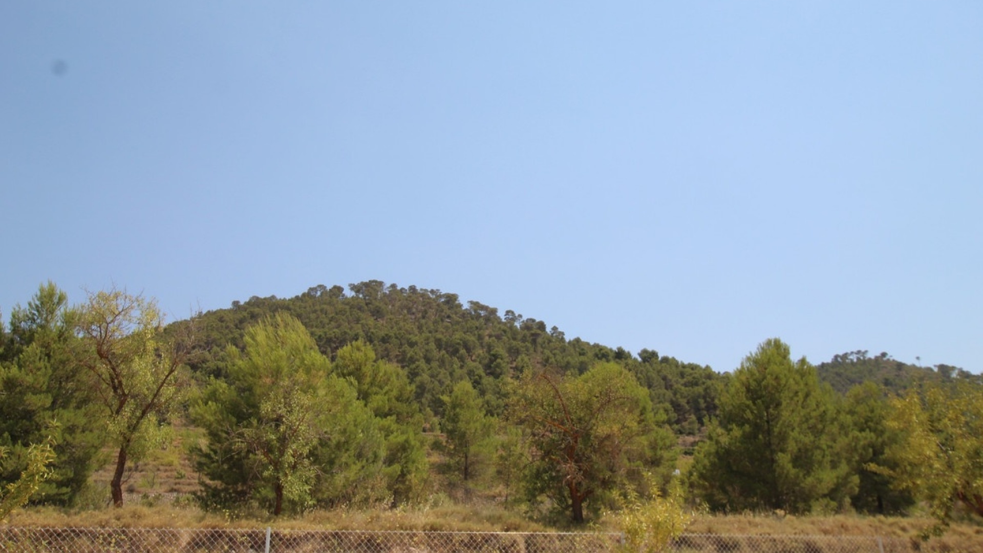 Resale - Villa - Pinoso - Pinoso Centro