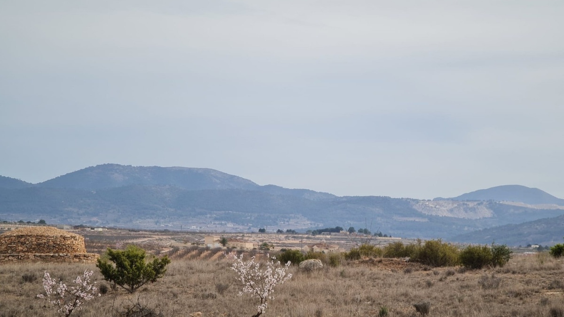Resale - Villa - Pinoso - Pinoso Centro