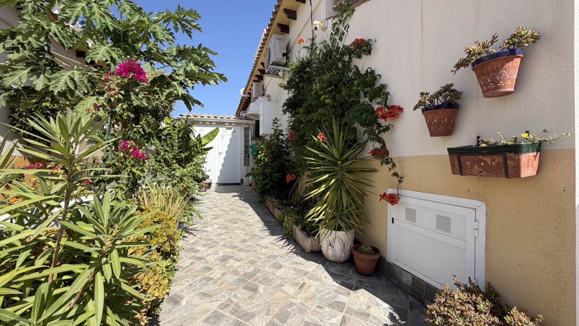 Resale - Villa - Punta Prima - los naranjos