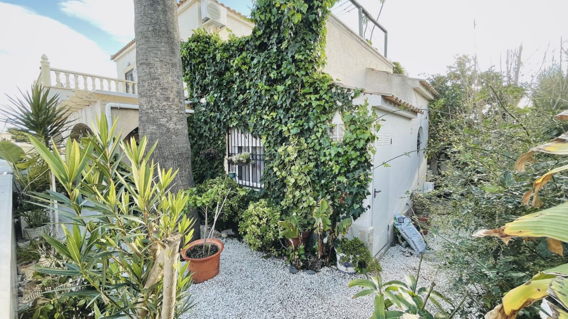 Resale - Villa - Punta Prima - serena