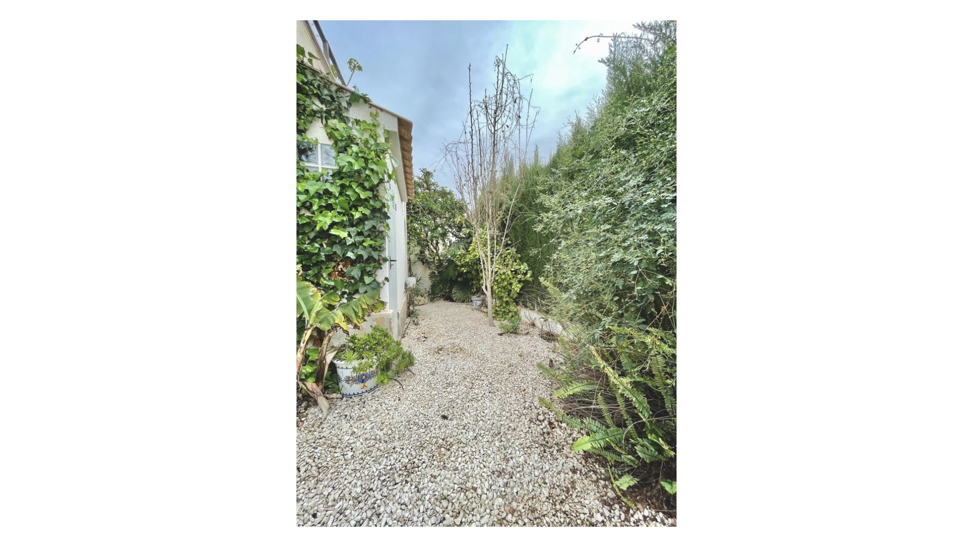 Resale - Villa - Punta Prima - serena