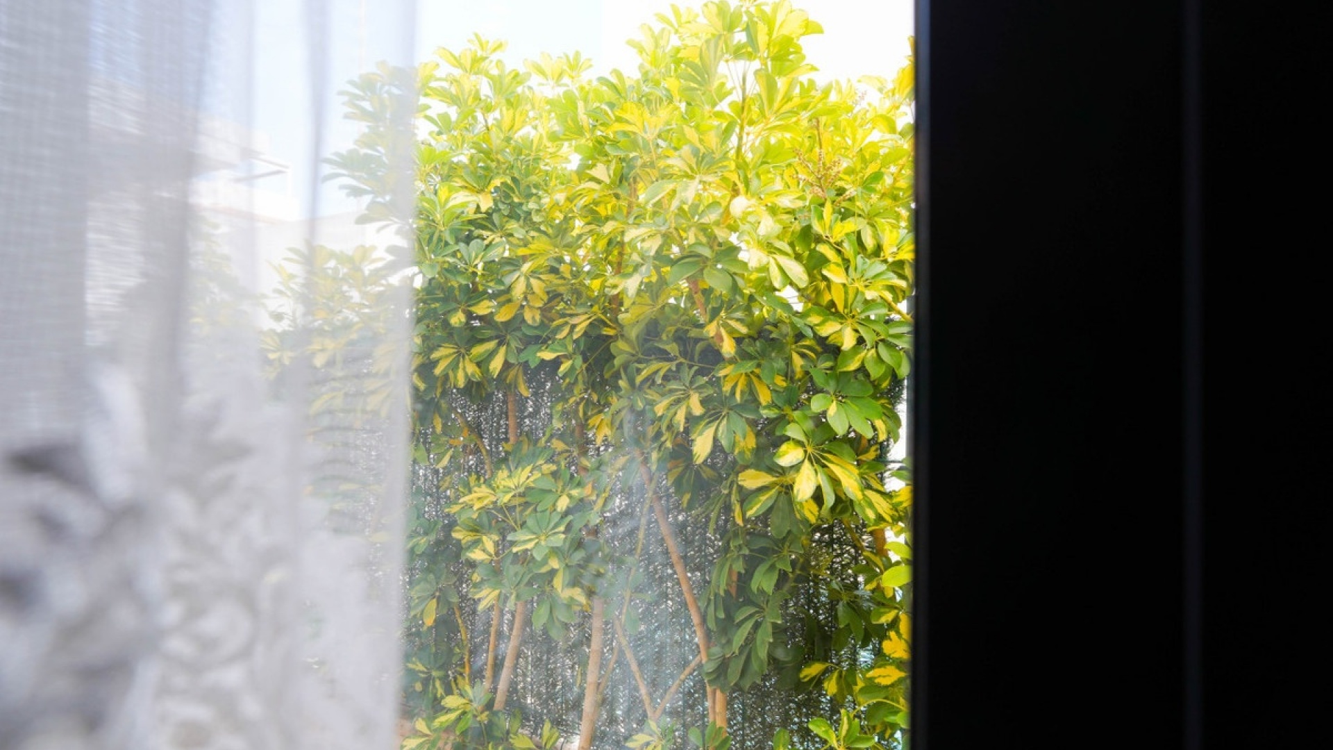 Resale - Villa - Rojales - Ciudad Quesada