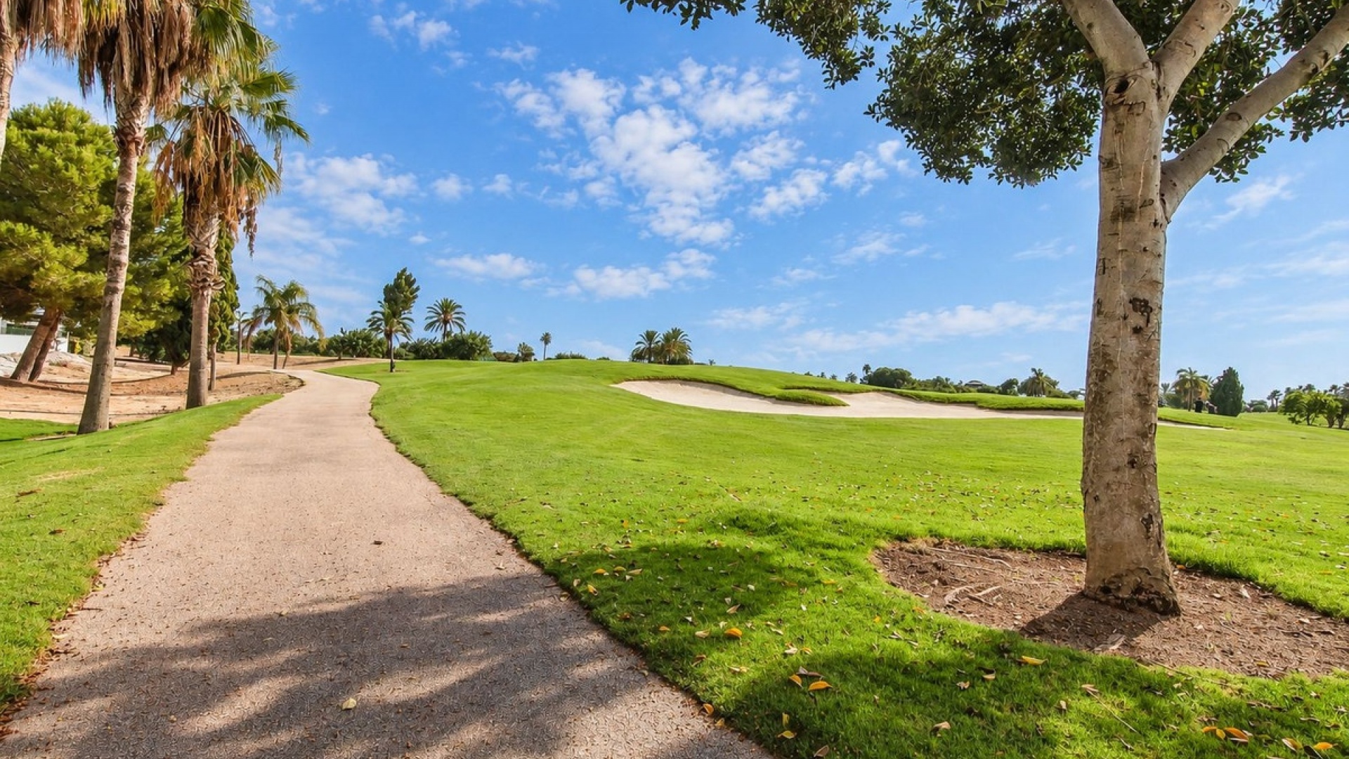 Resale - Villa - San Javier - Roda Golf