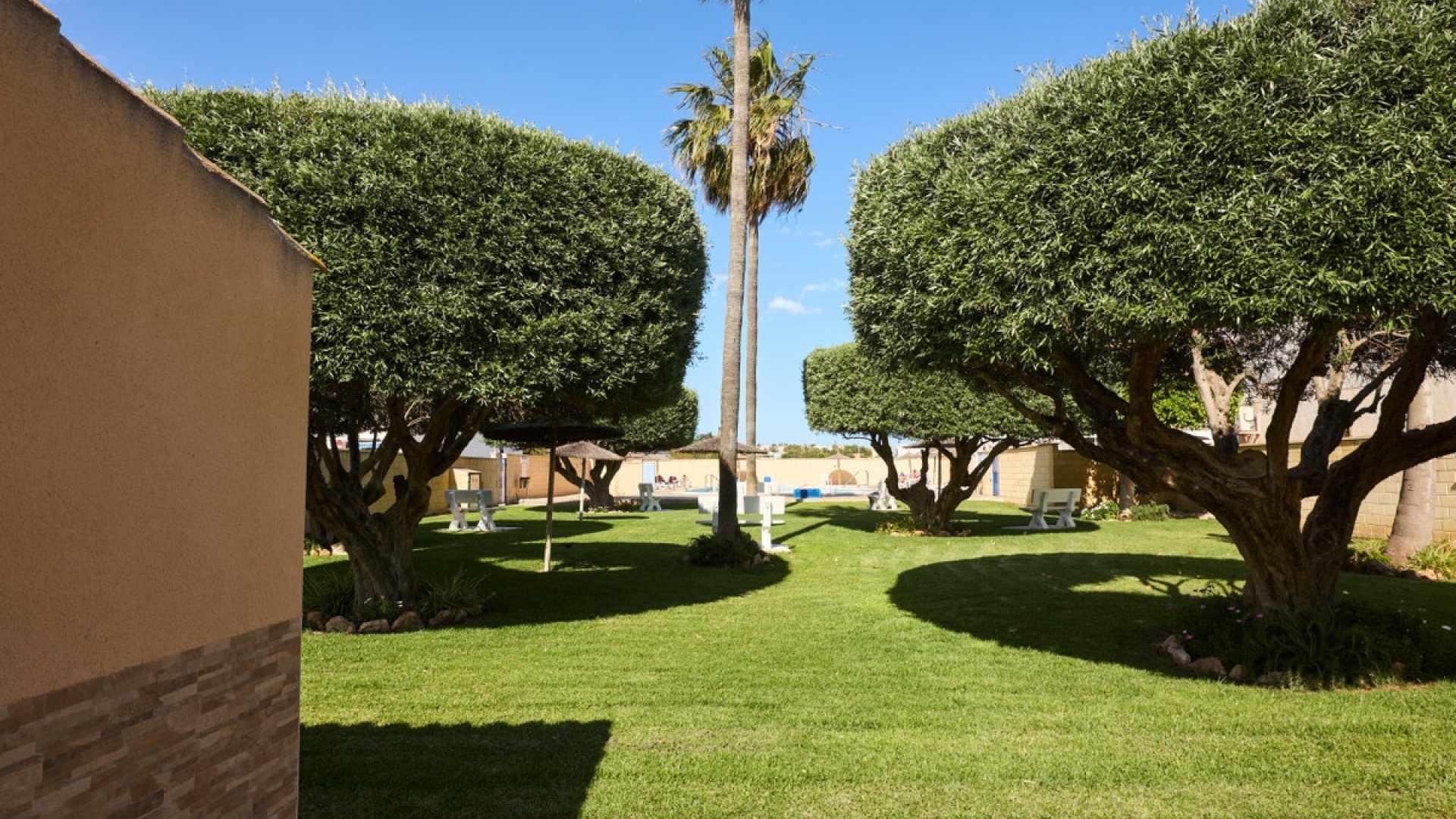 Resale - Villa - Torrevieja - Jardin del Mar