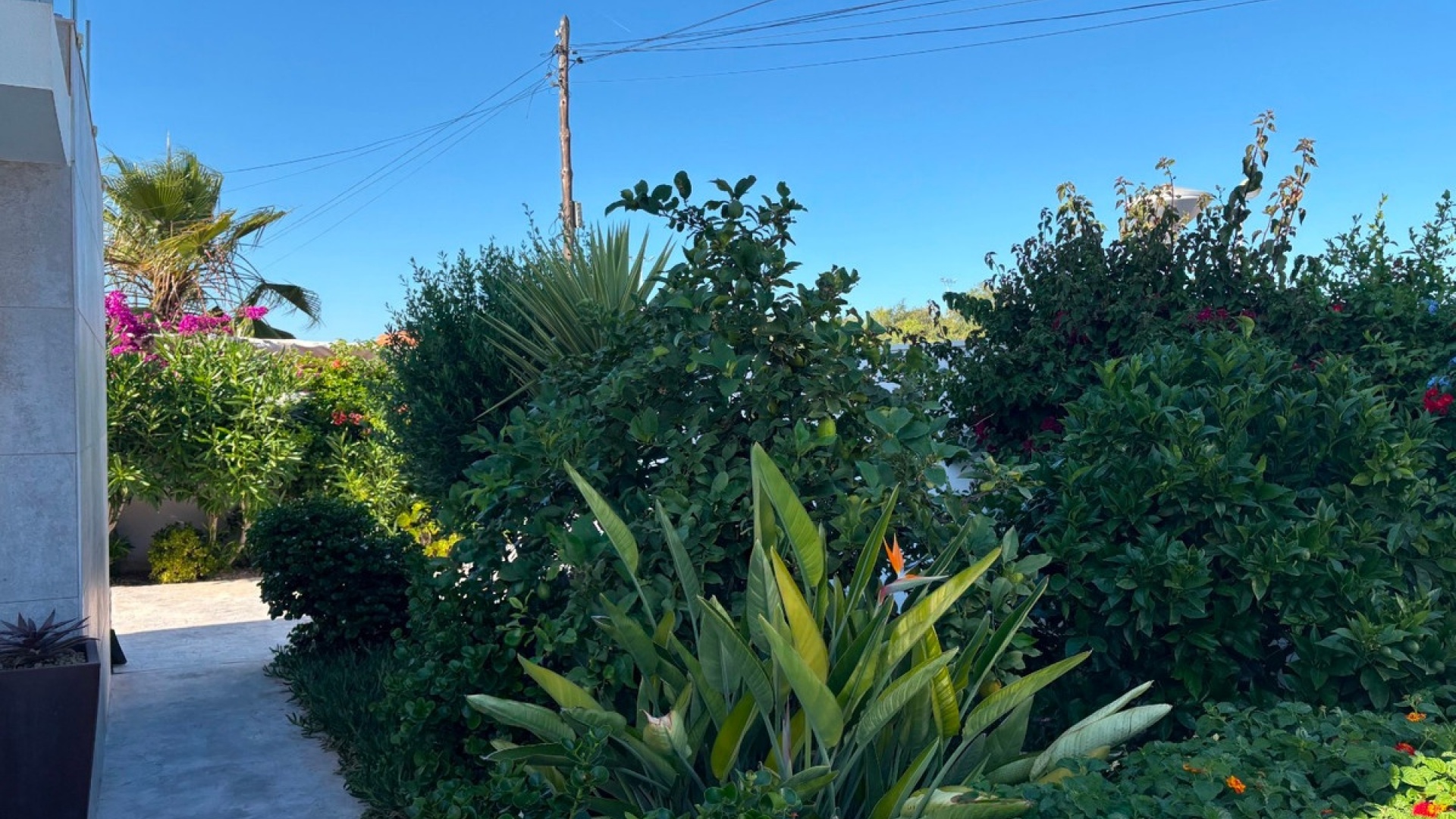 Resale - Villa - Torrevieja - Torrevieja Centro