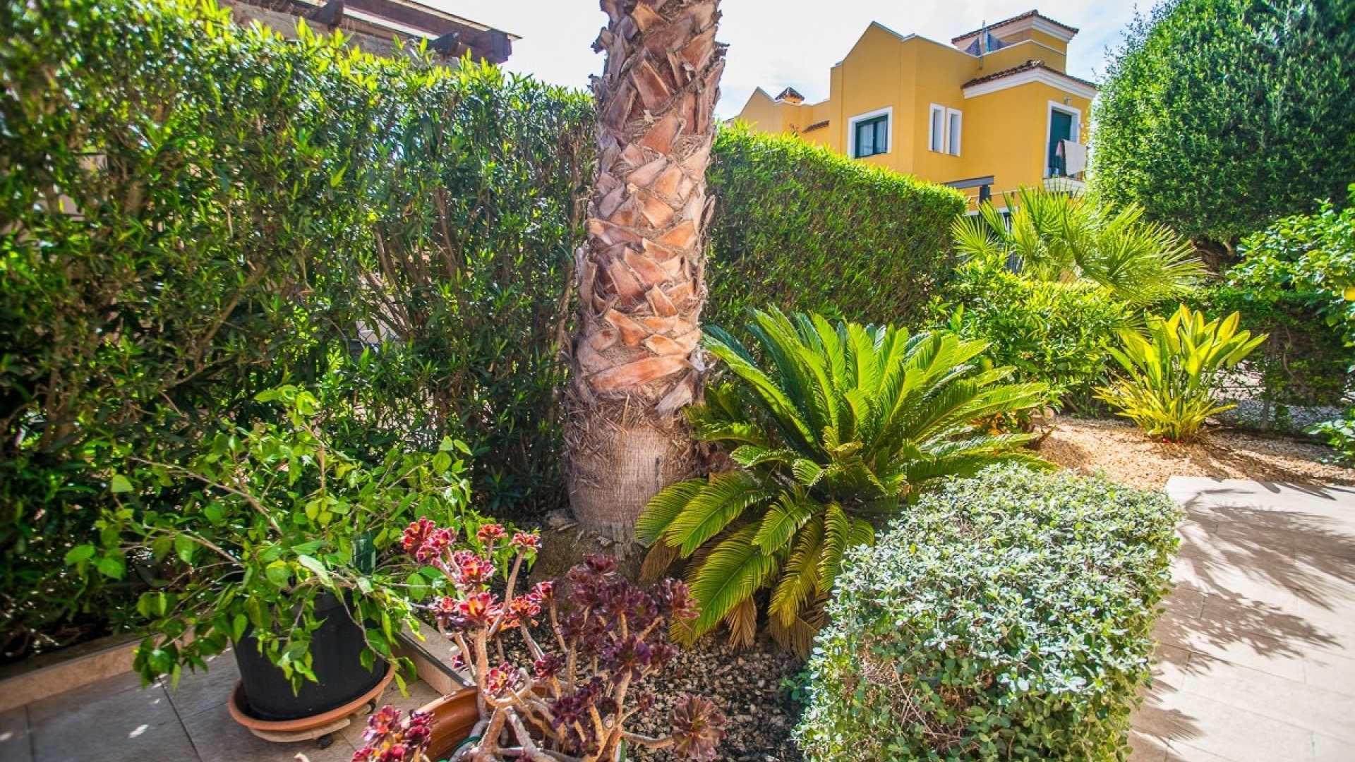 Resale - Villa - Torrevieja - Torrevieja Centro