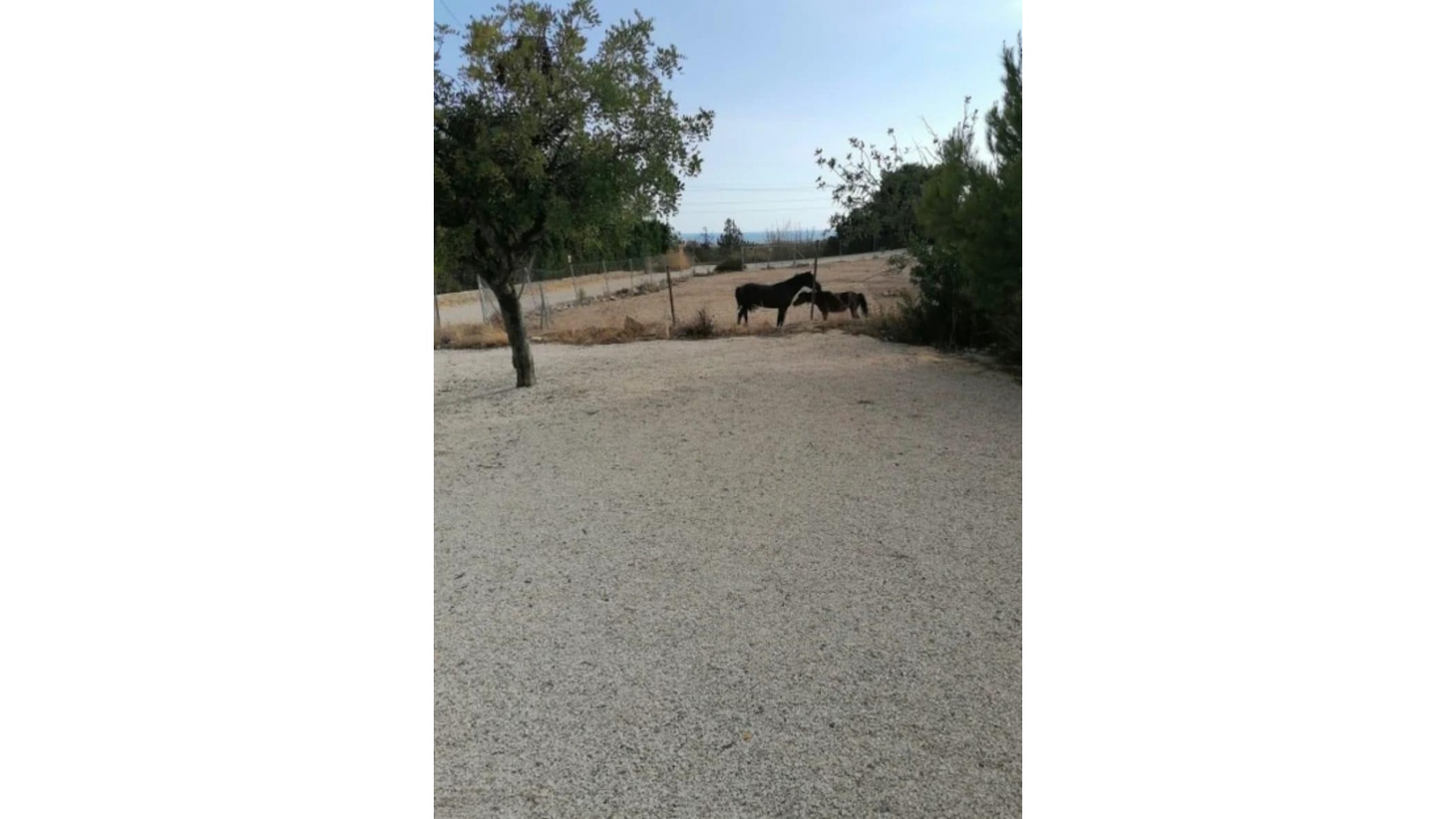 Resale - Villa - Villajoyosa - Villajoyosa Centro
