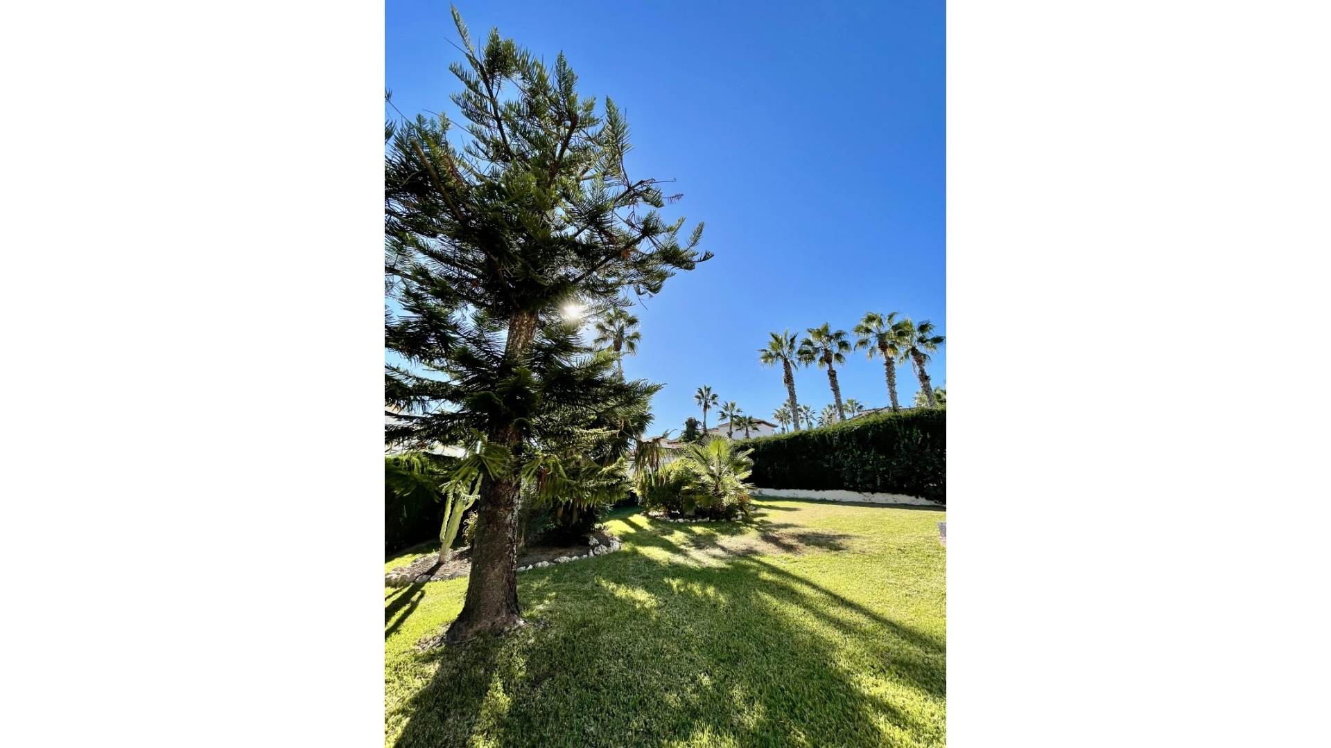 Resale - Villa - Villamartin