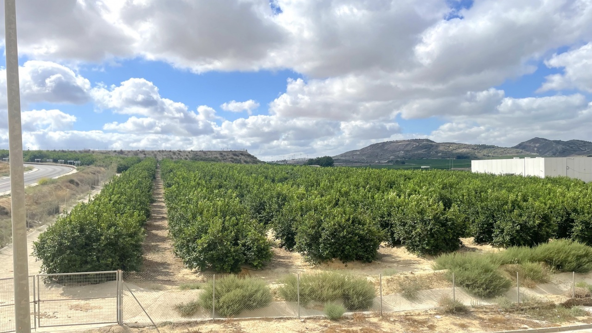 Revente - Appartement - Algorfa - fontana