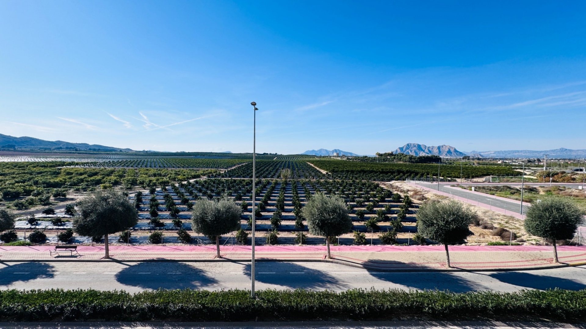 Revente - Appartement - Algorfa - fontana