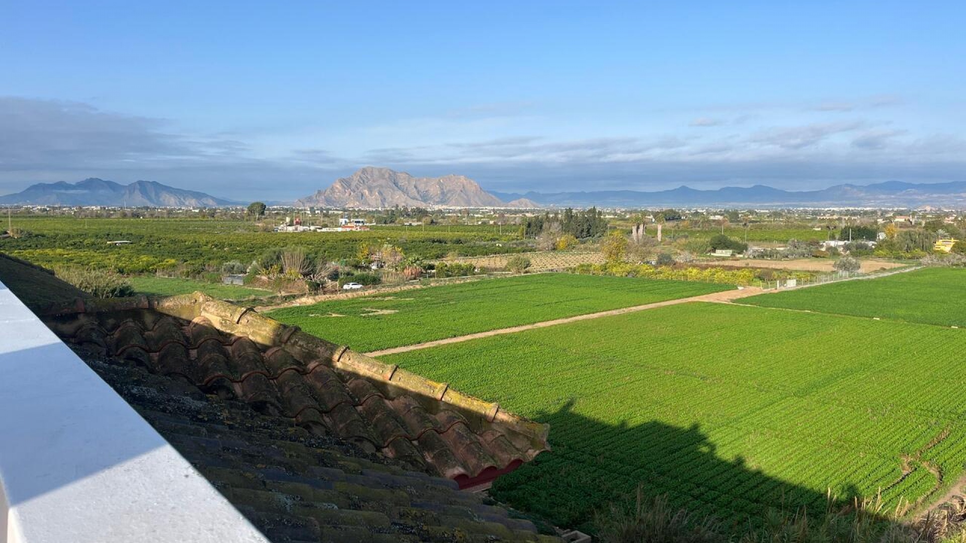 Revente - Appartement - Algorfa - res cecilia