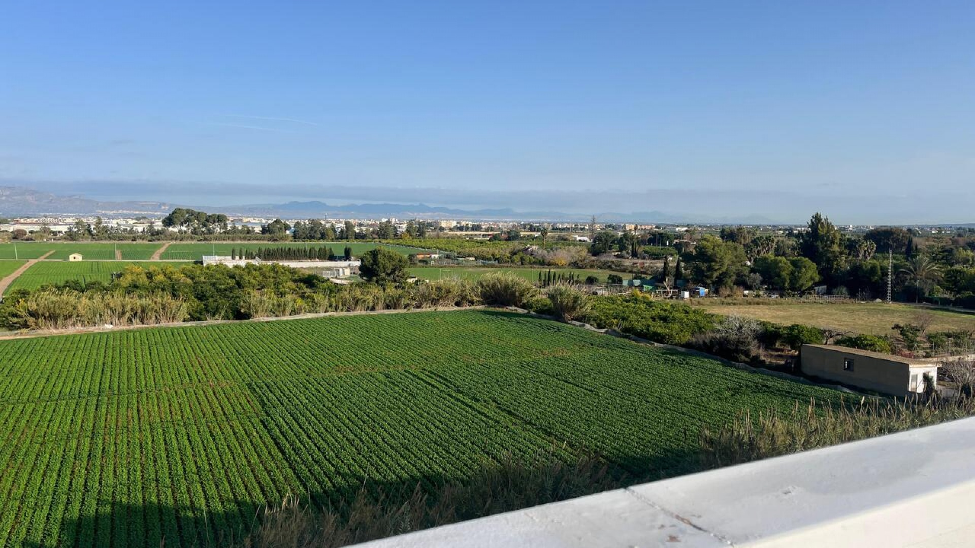 Revente - Appartement - Algorfa - res cecilia