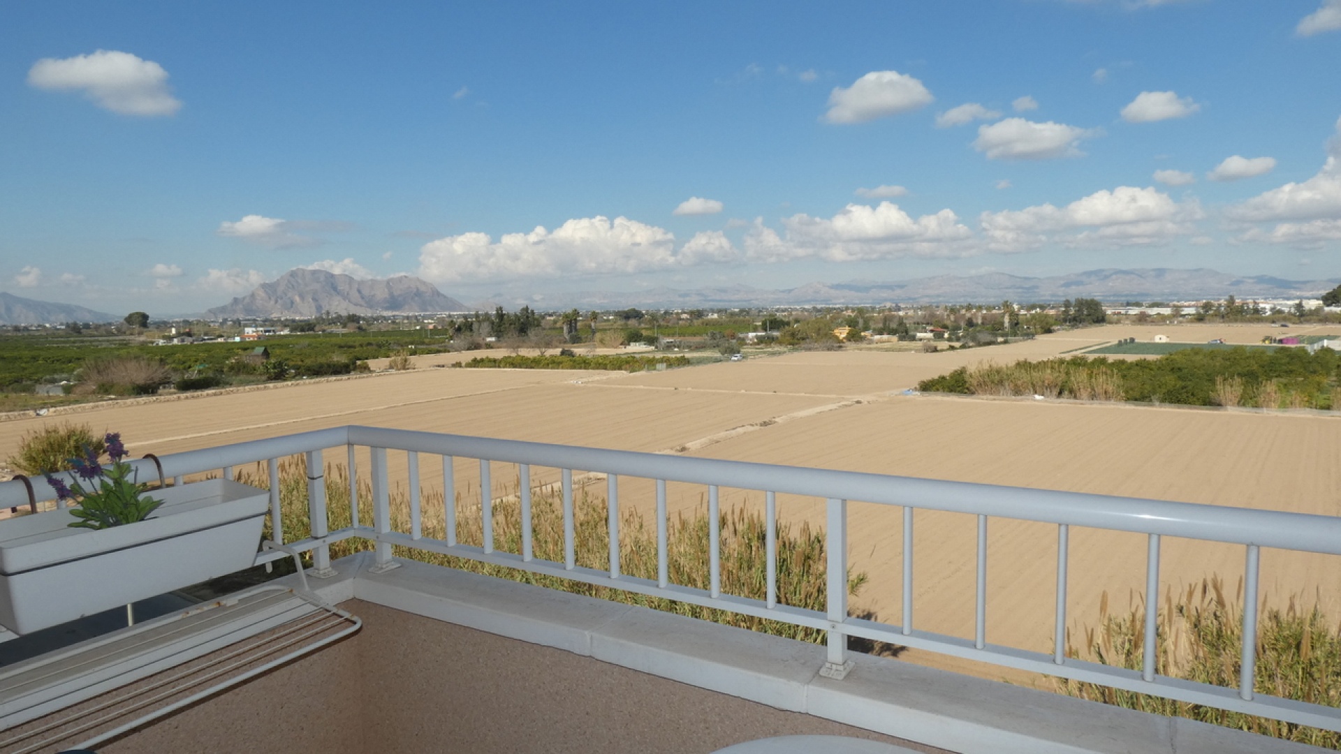 Revente - Appartement - Algorfa