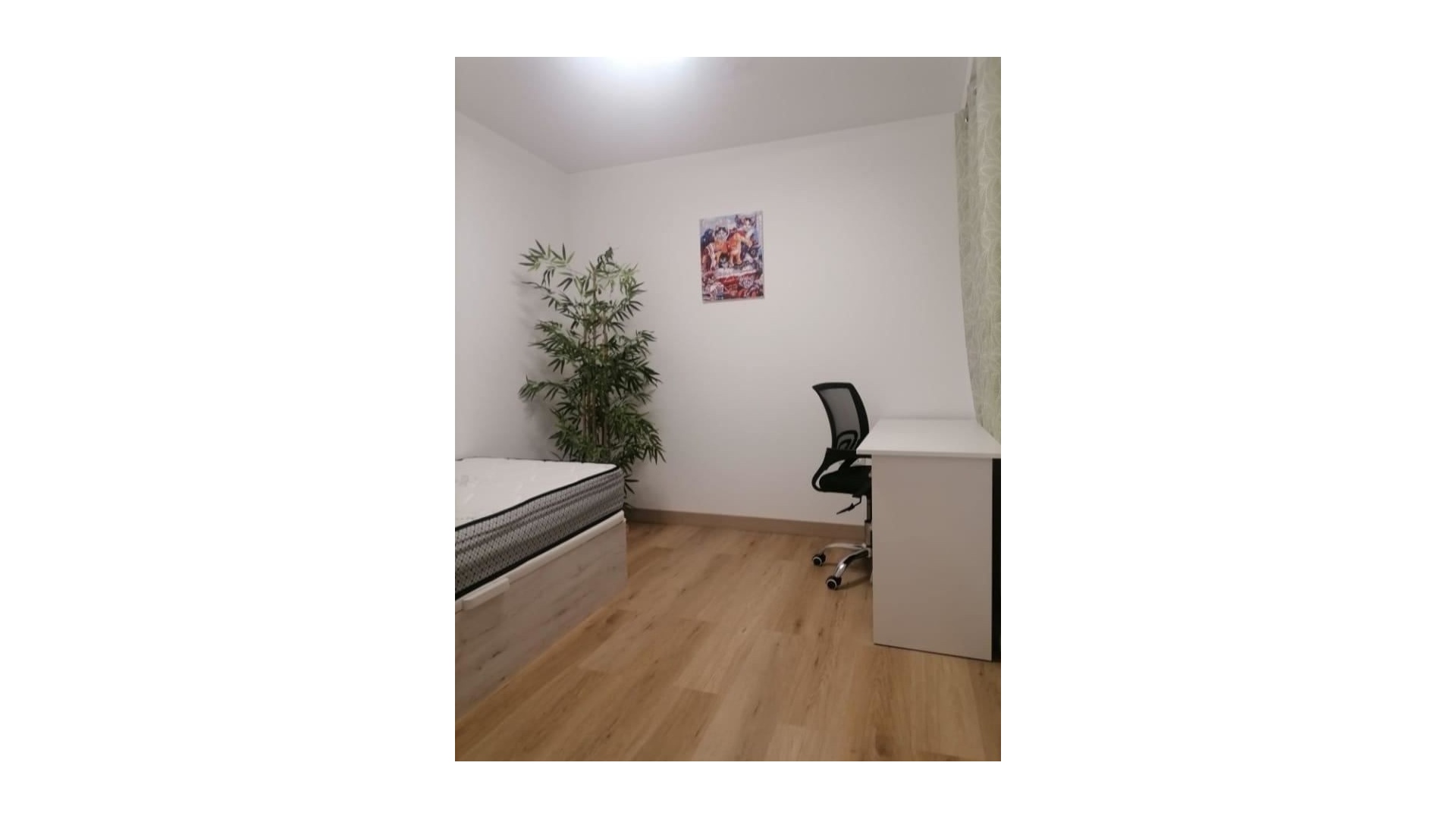 Revente - Appartement - Alicante - Alicante City Centro