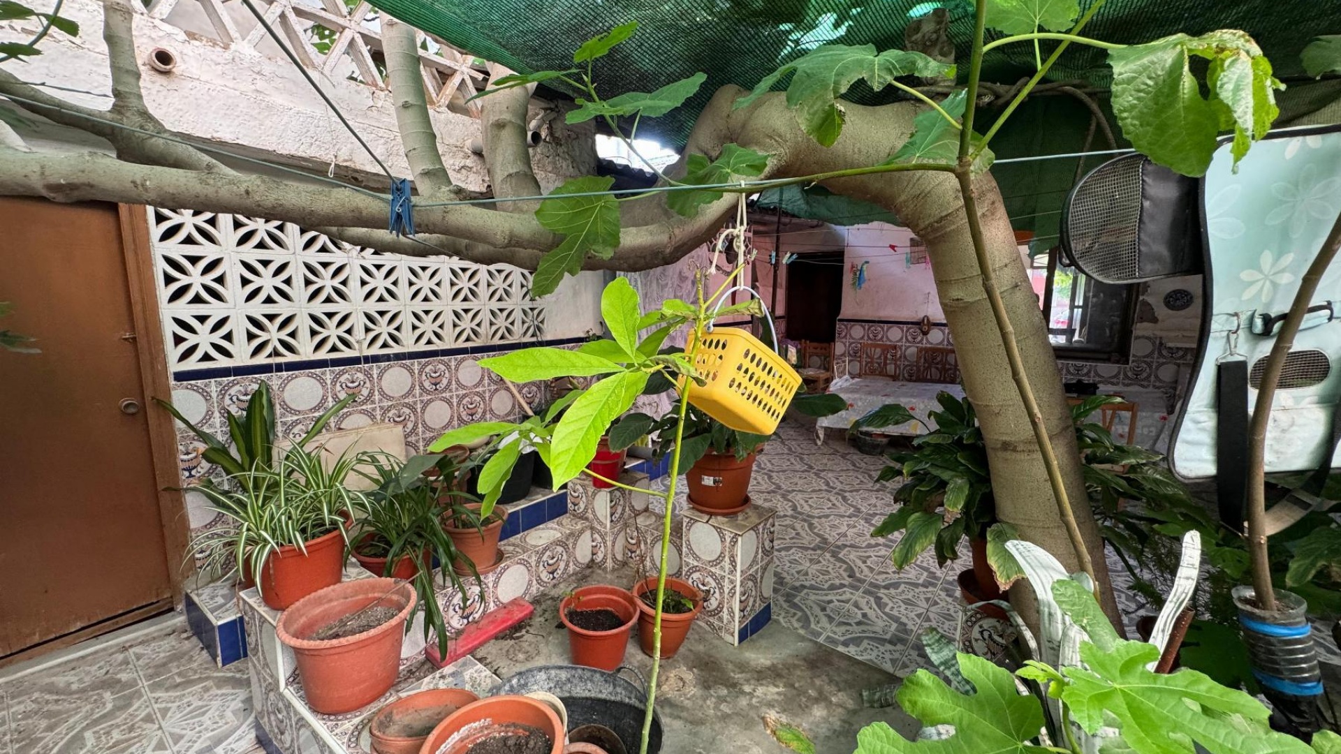 Revente - Appartement - Benejuzar - benejuzar