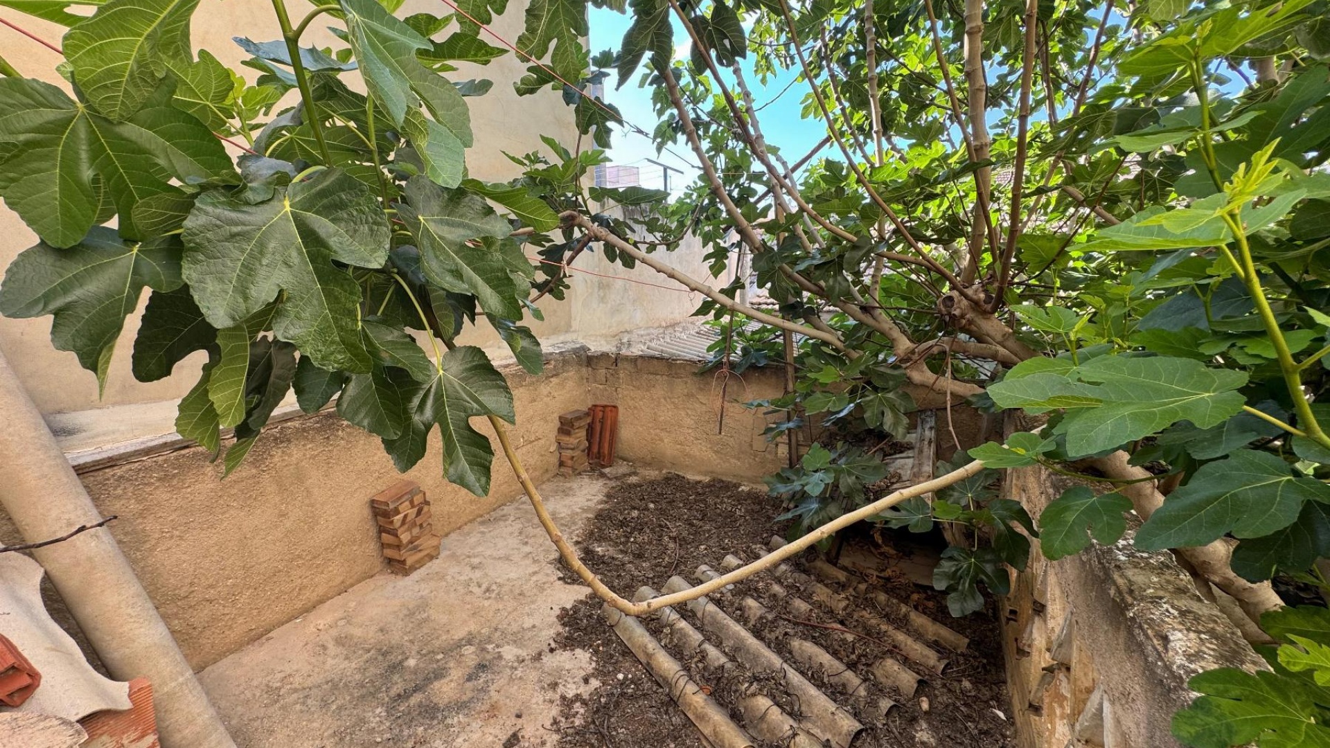 Revente - Appartement - Benejuzar - benejuzar