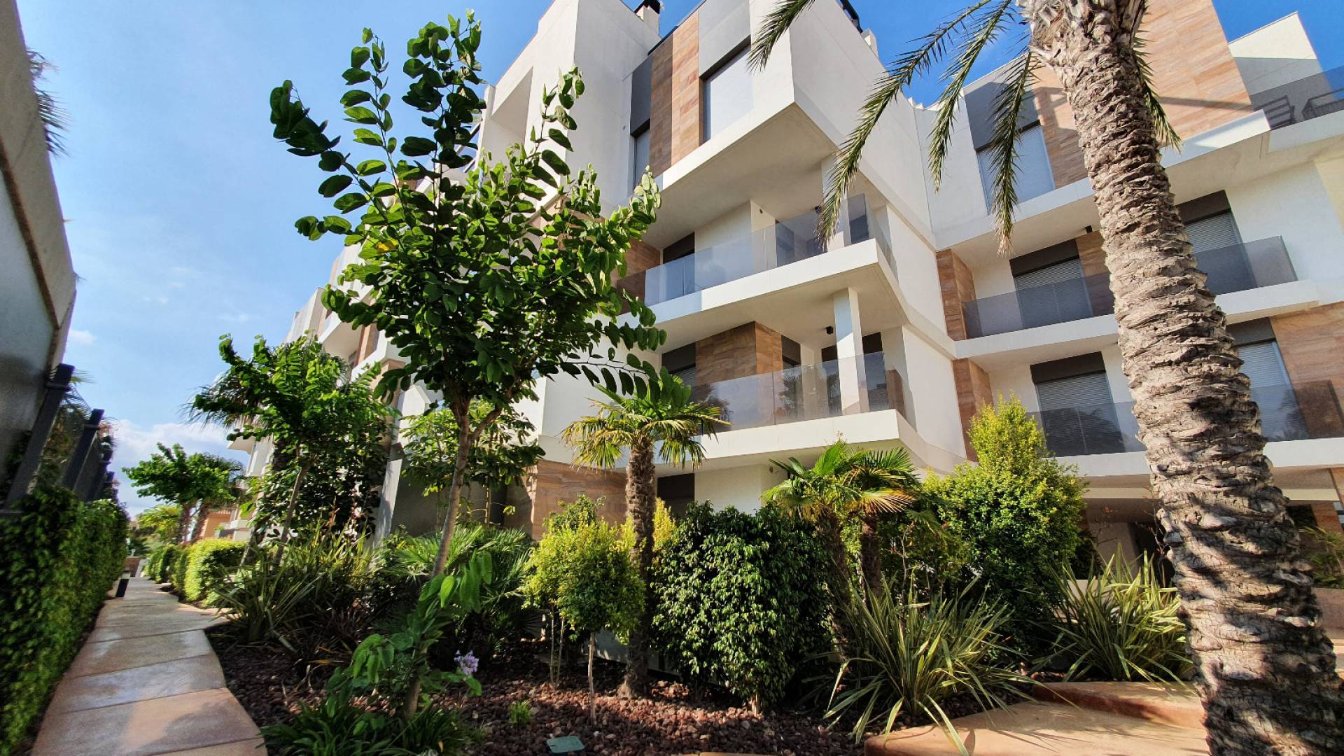 Revente - Appartement - Cabo Roig - beachside cabo roig