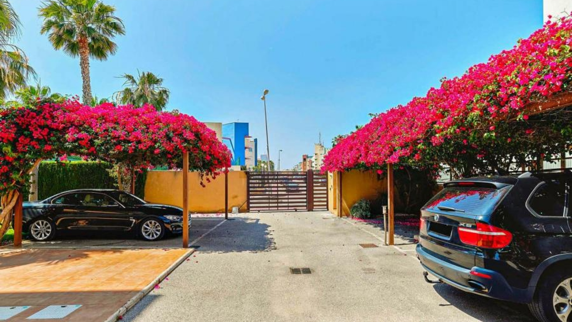 Revente - Appartement - Cabo Roig - beachside cabo roig