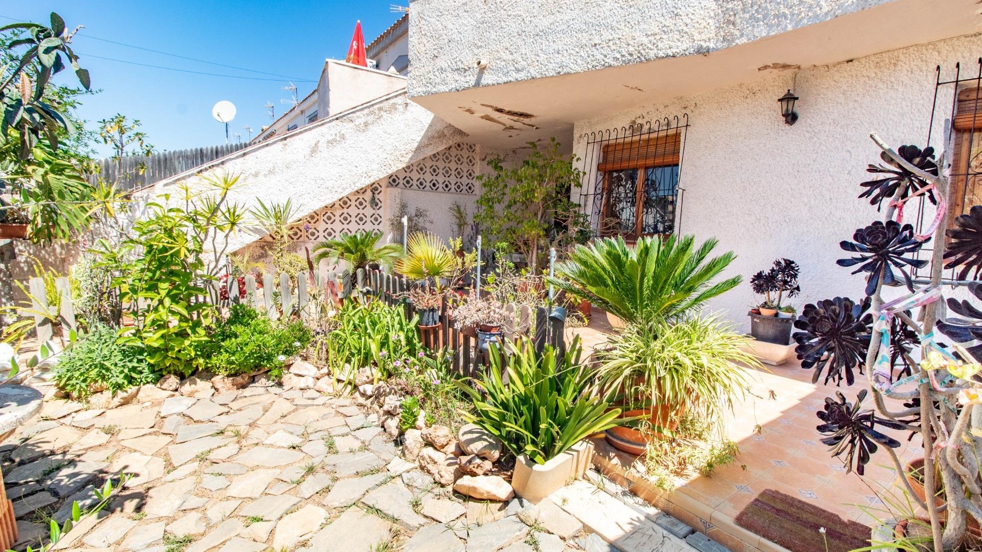 Revente - Appartement - Cabo Roig - la regia