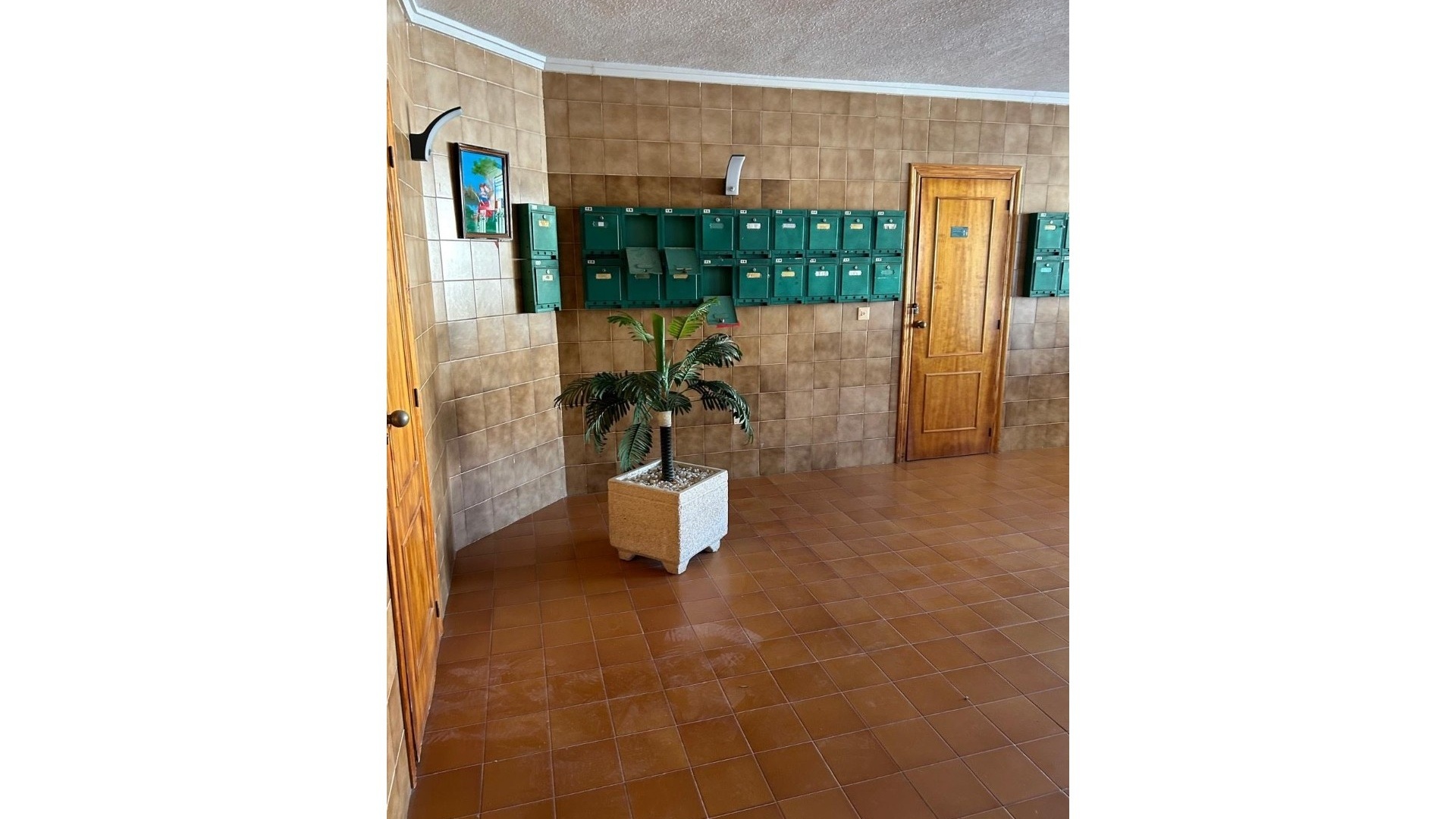 Revente - Appartement - Cabo Roig - la regia