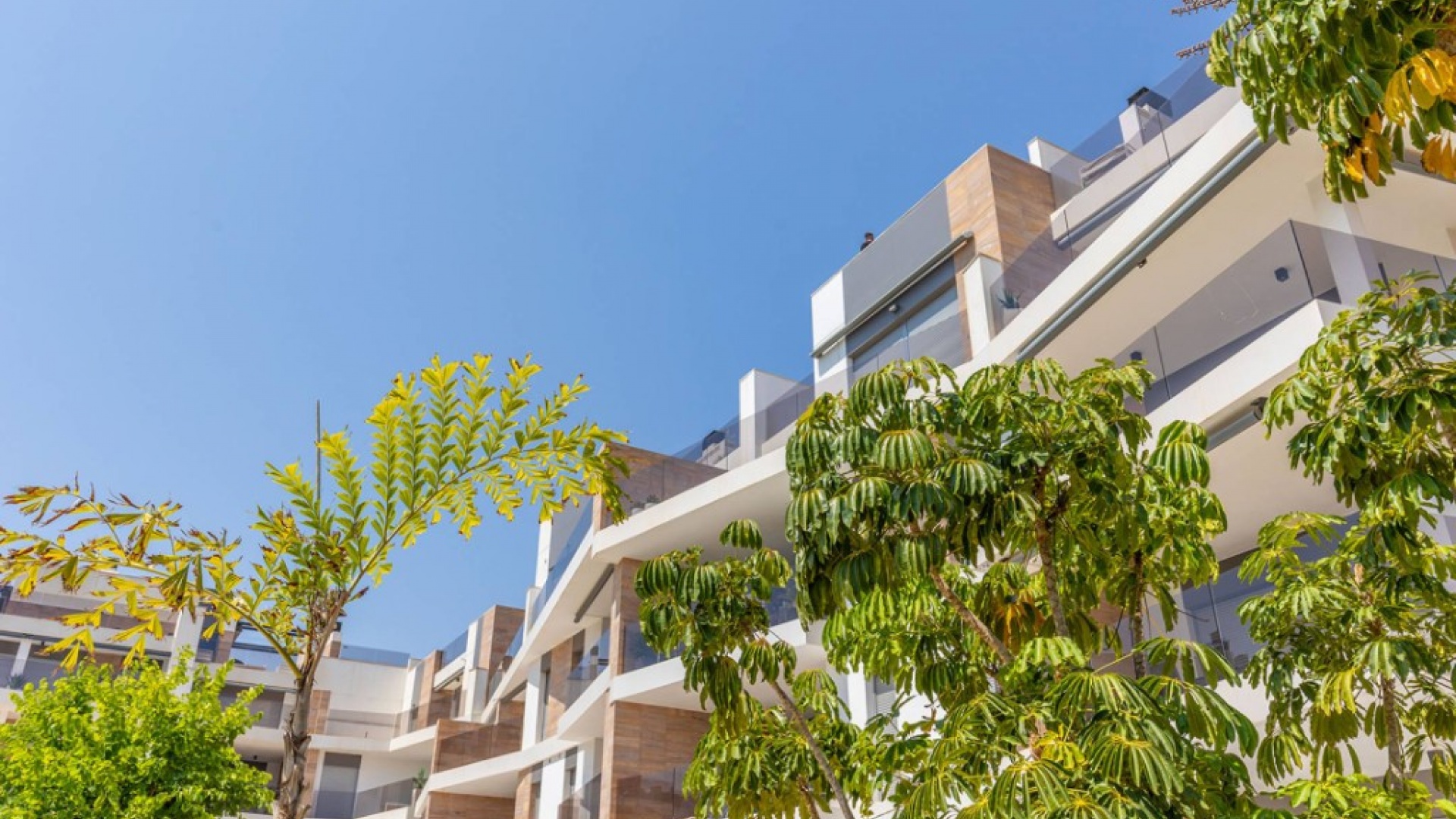 Revente - Appartement - Cabo Roig