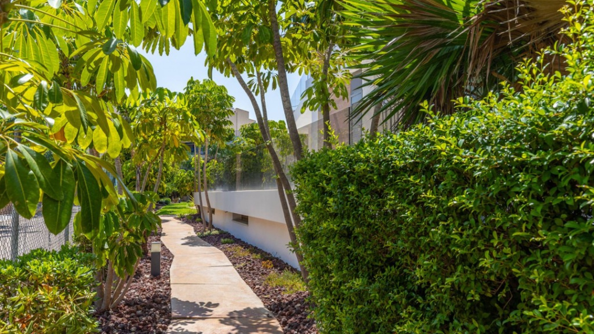 Revente - Appartement - Cabo Roig