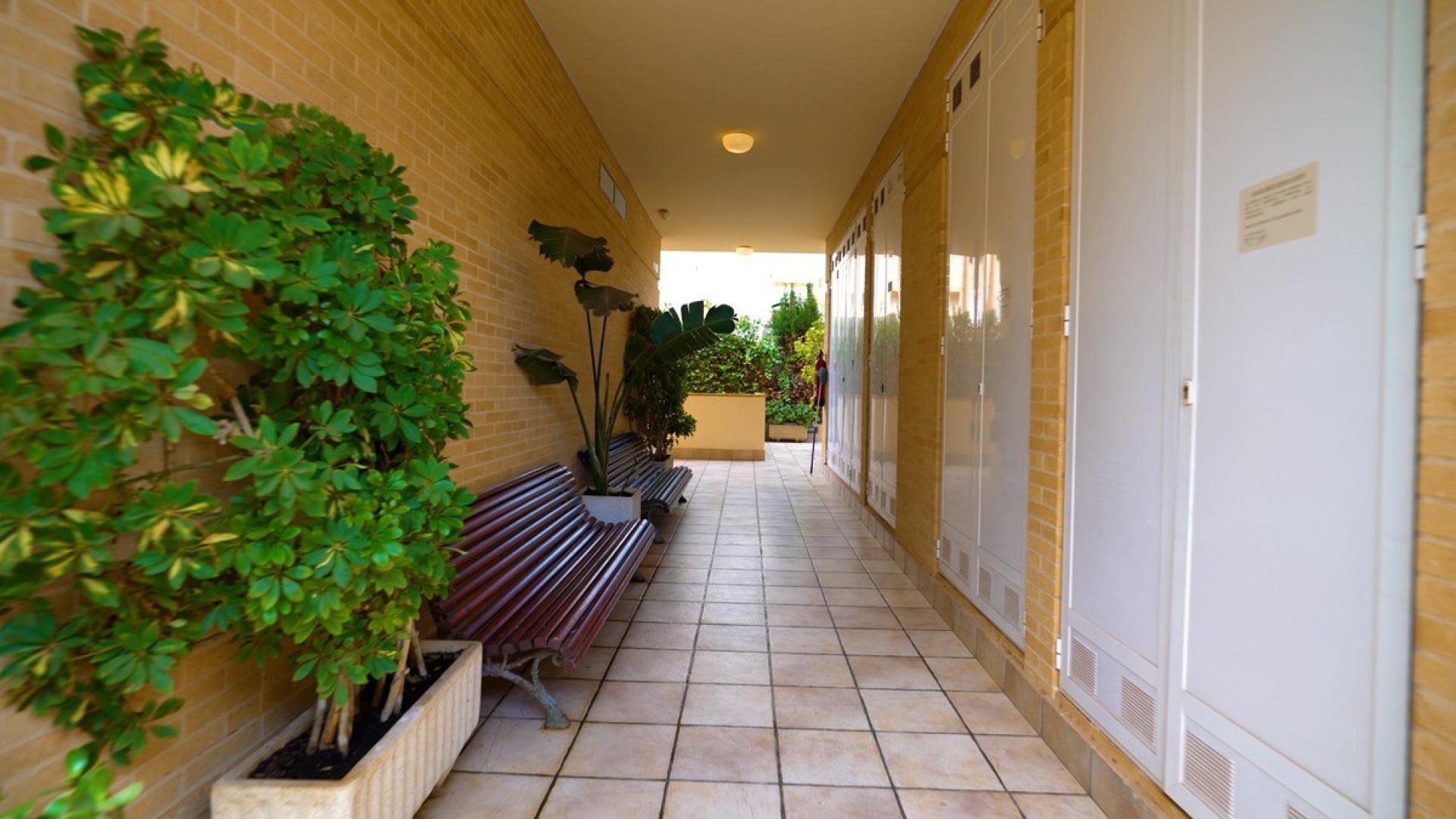 Revente - Appartement - Campello - El Campello - Campello - El Campello Centro