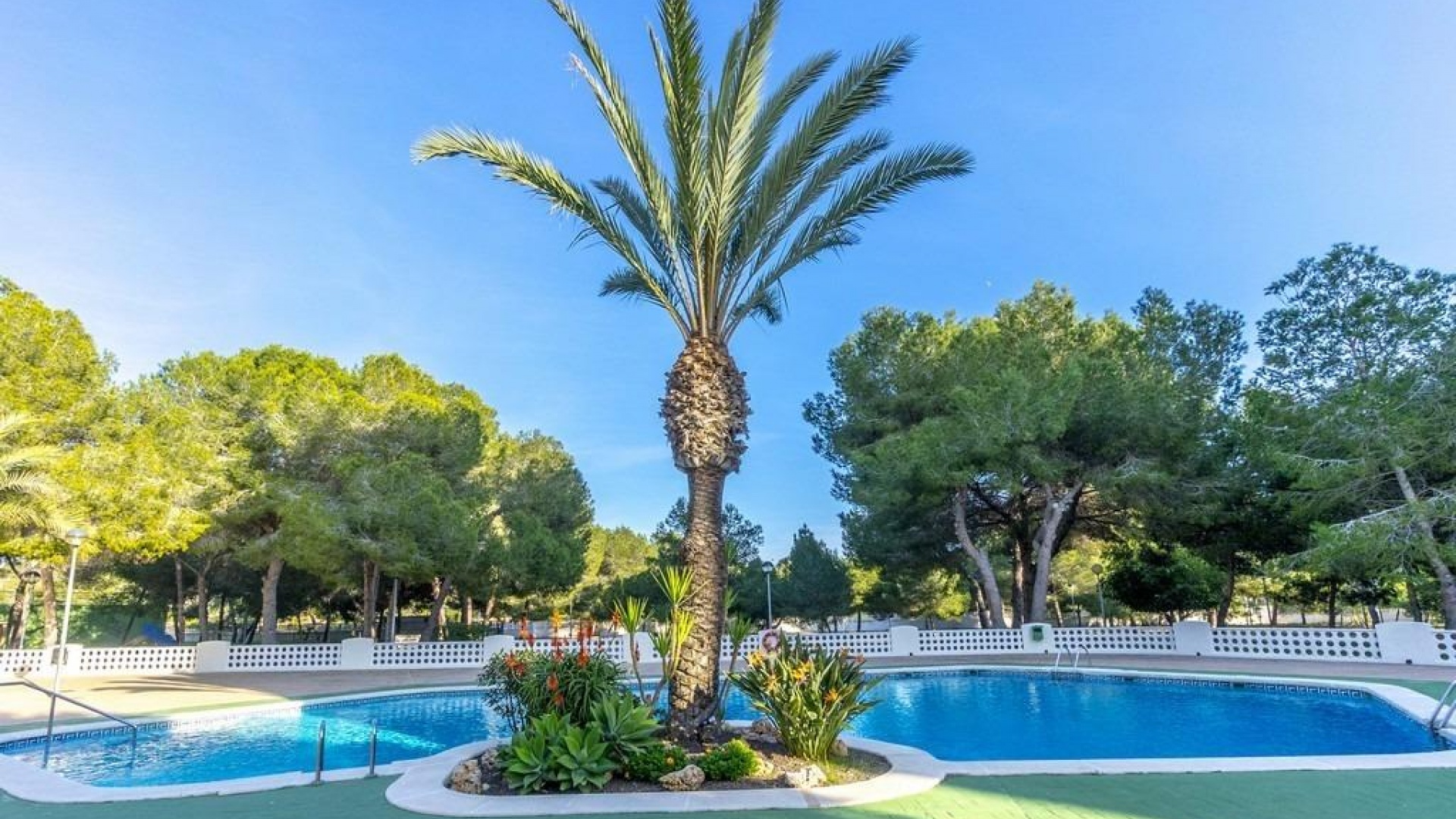 Revente - Appartement - Campoamor - lomas de campoamor