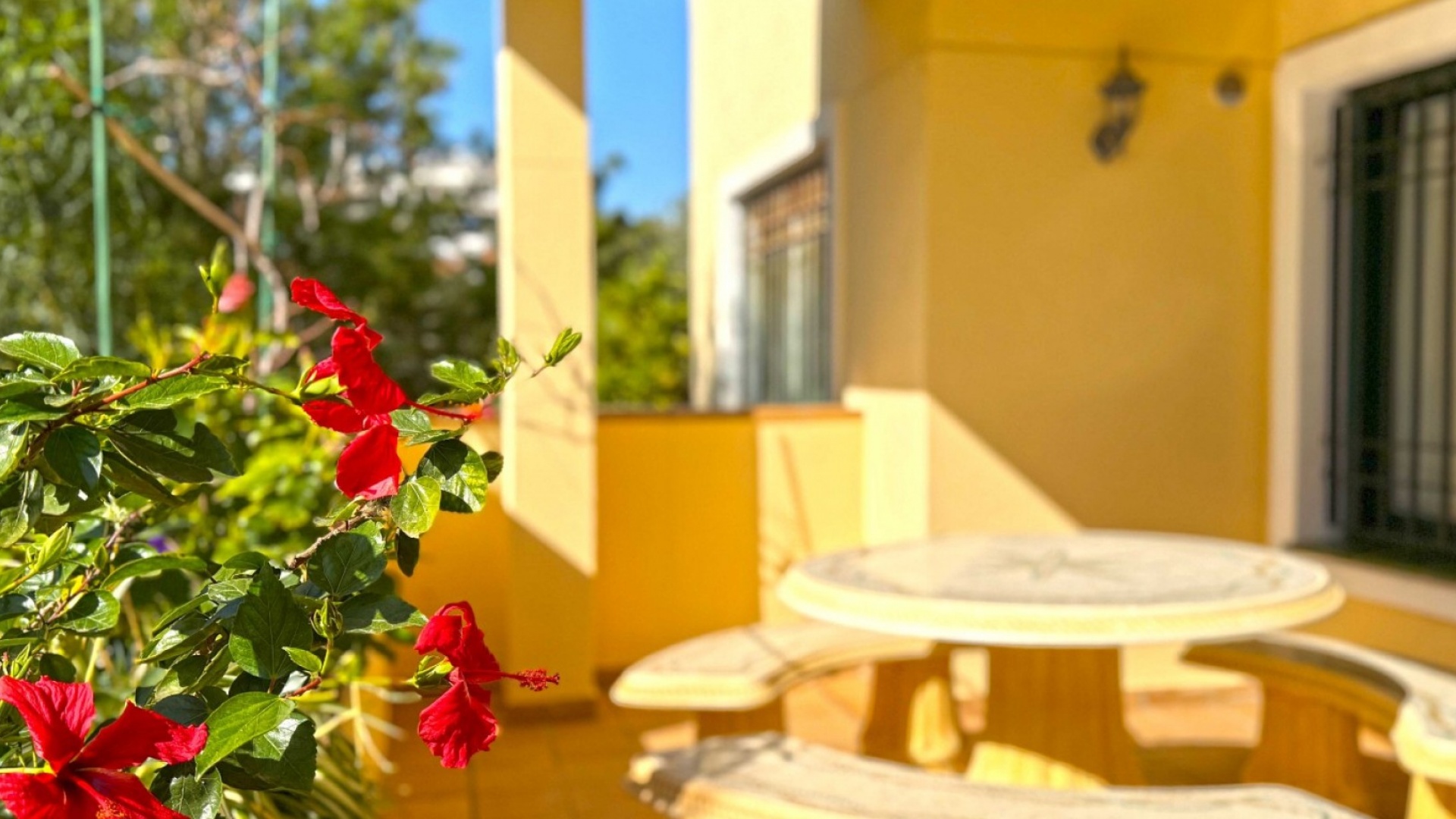 Revente - Appartement - Campoamor