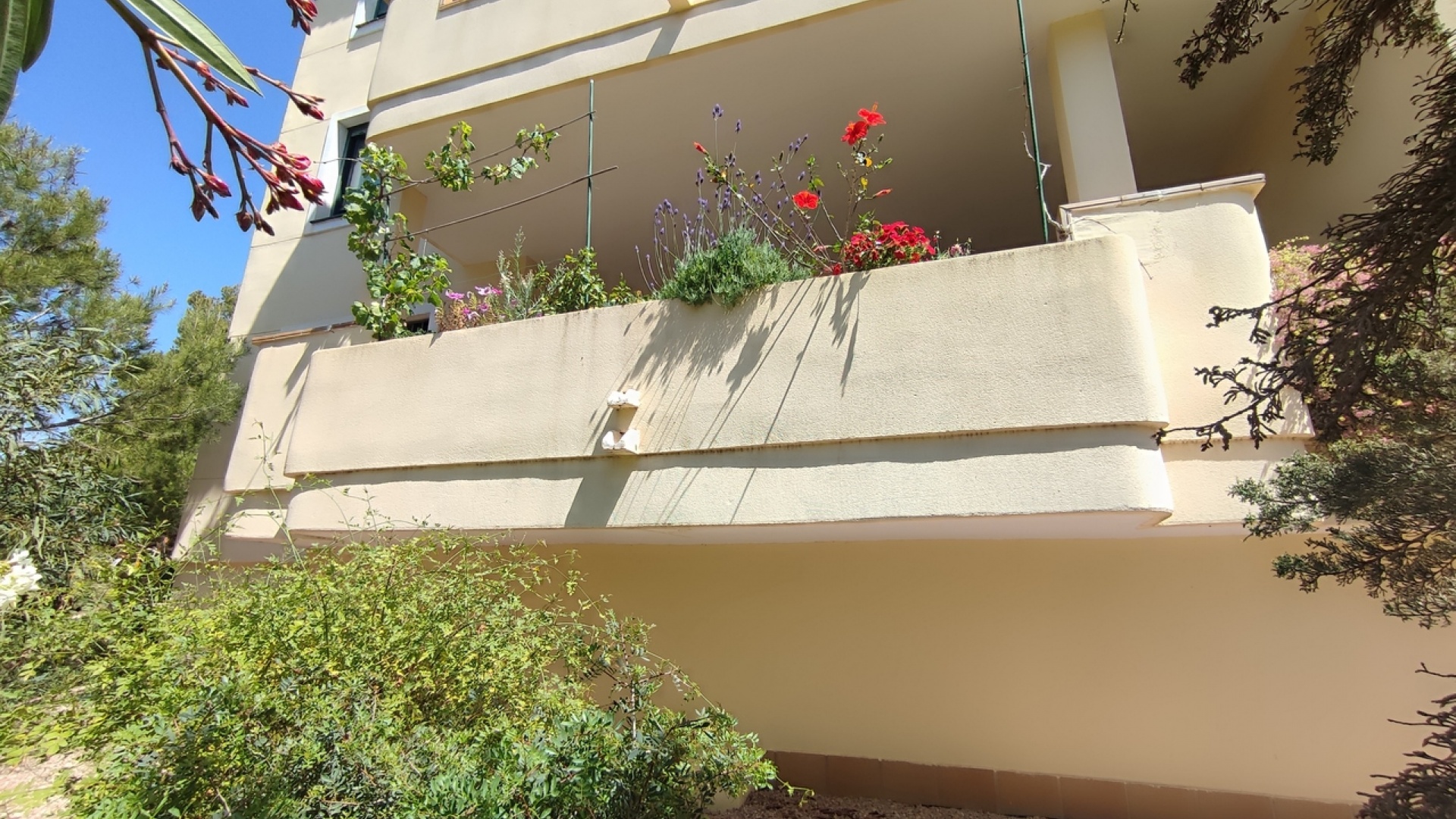 Revente - Appartement - Campoamor