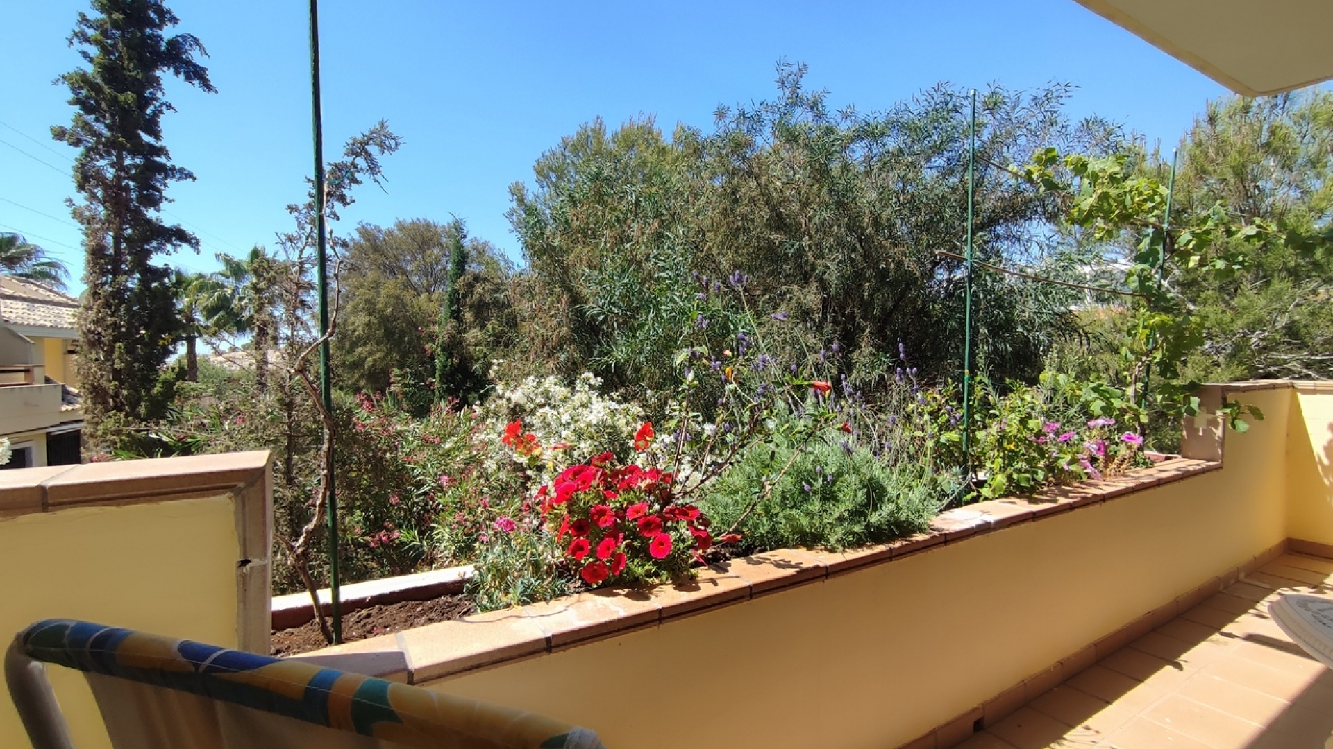 Revente - Appartement - Campoamor