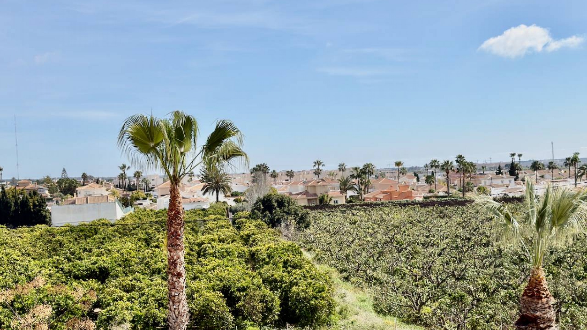 Revente - Appartement - Ciudad Quesada