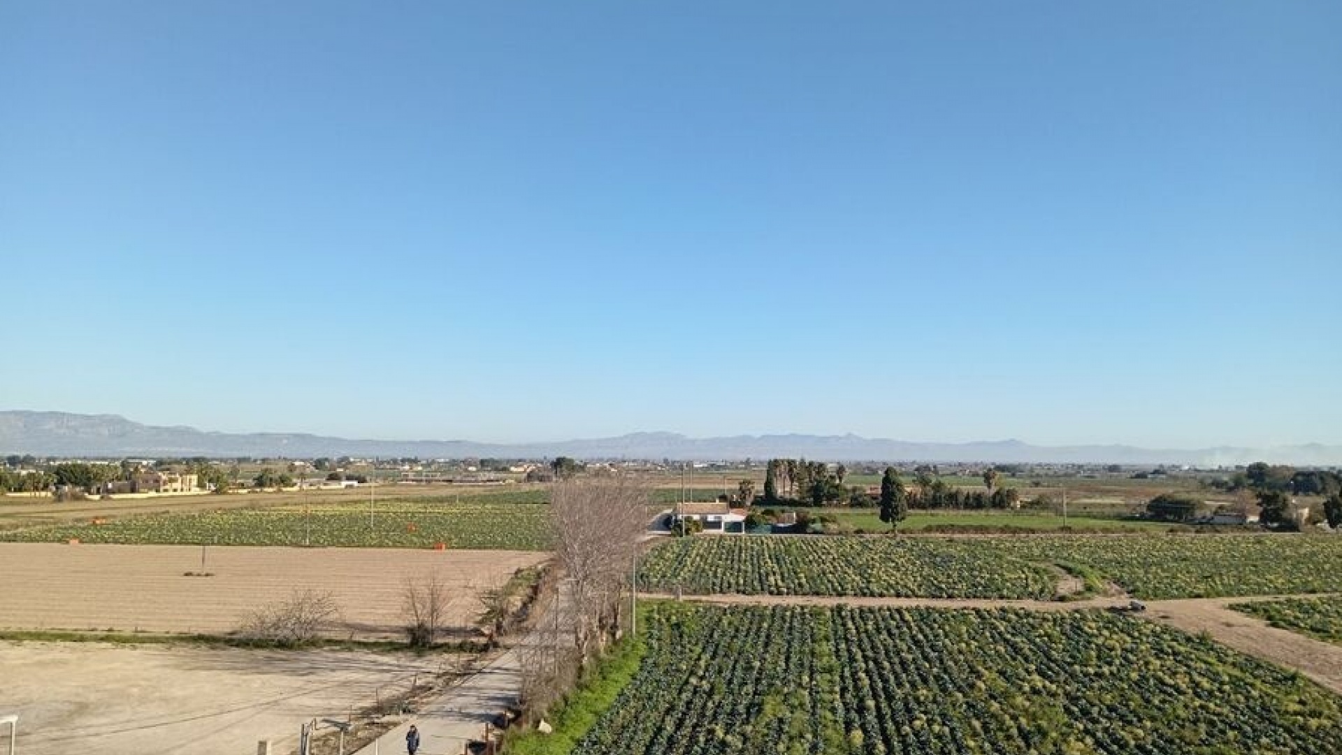 Revente - Appartement - Daya Vieja