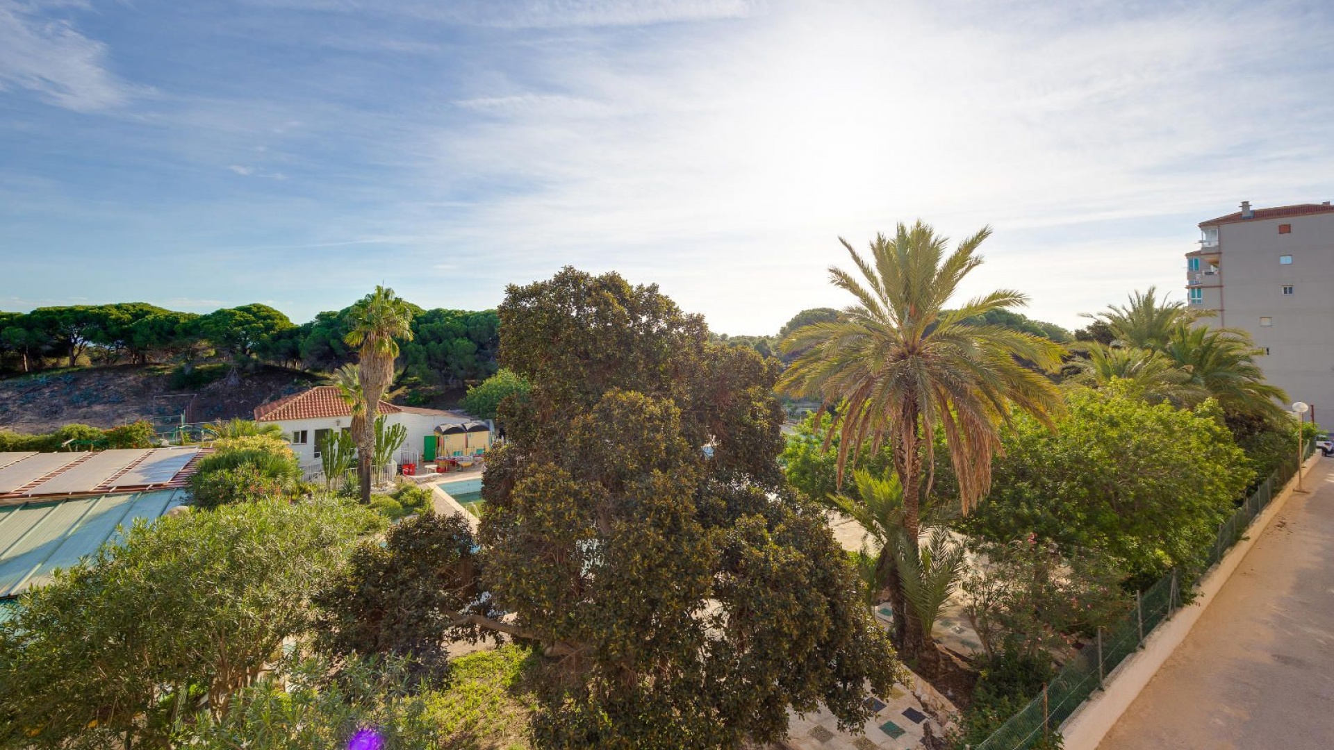 Revente - Appartement - Guardamar del Segura - beachside