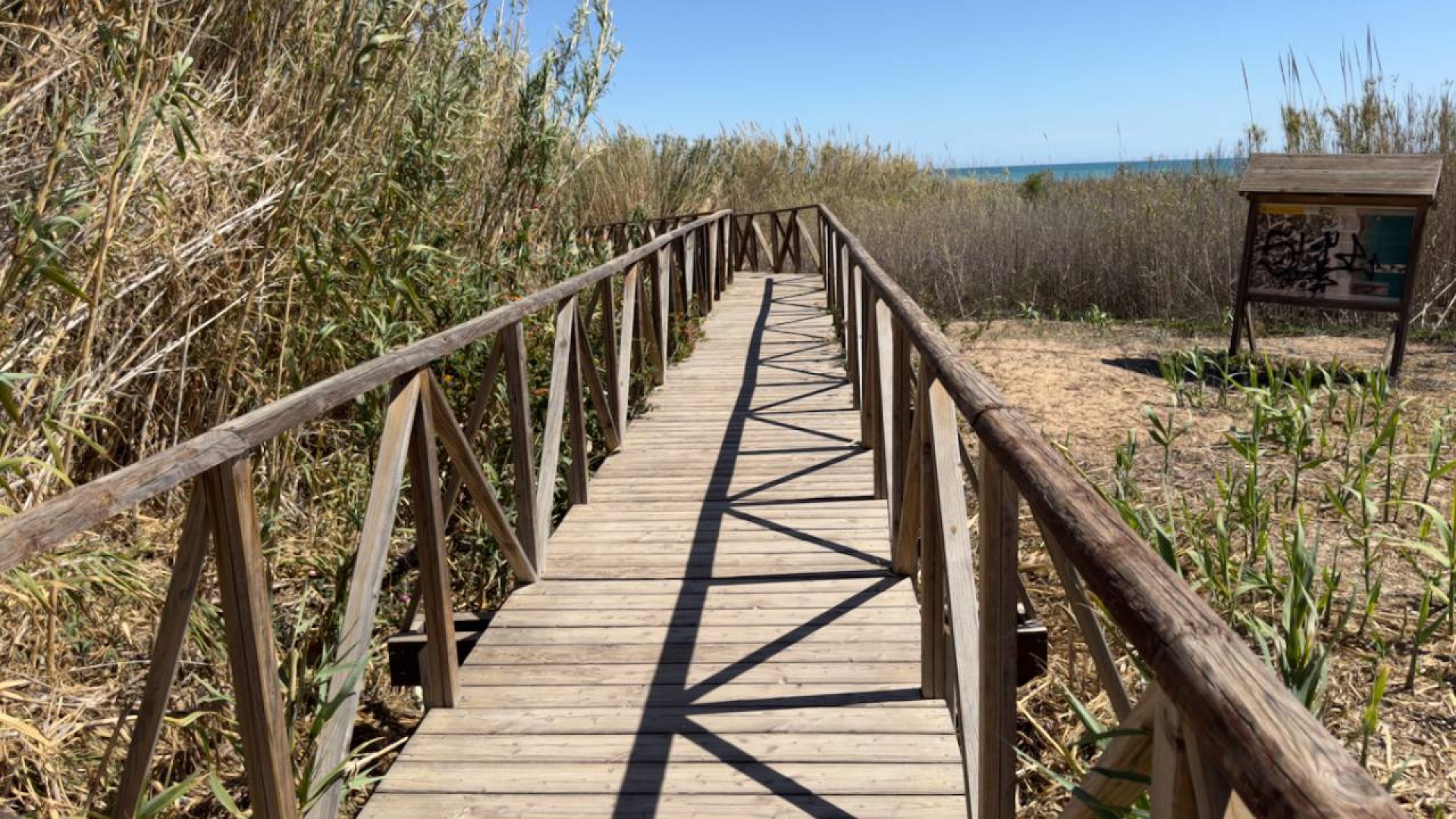 Revente - Appartement - Guardamar del Segura