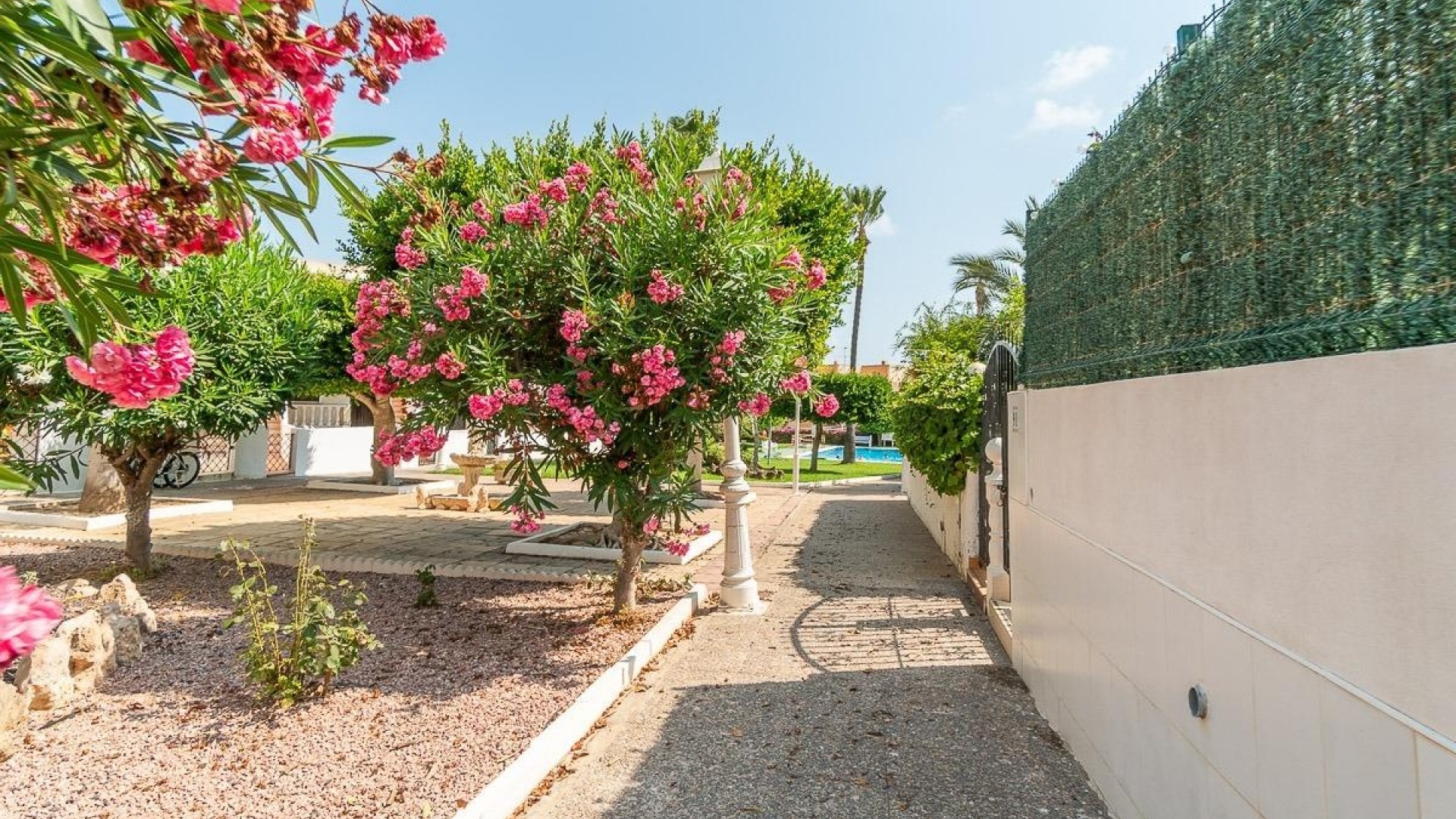 Revente - Appartement - La Mata - torre blanca