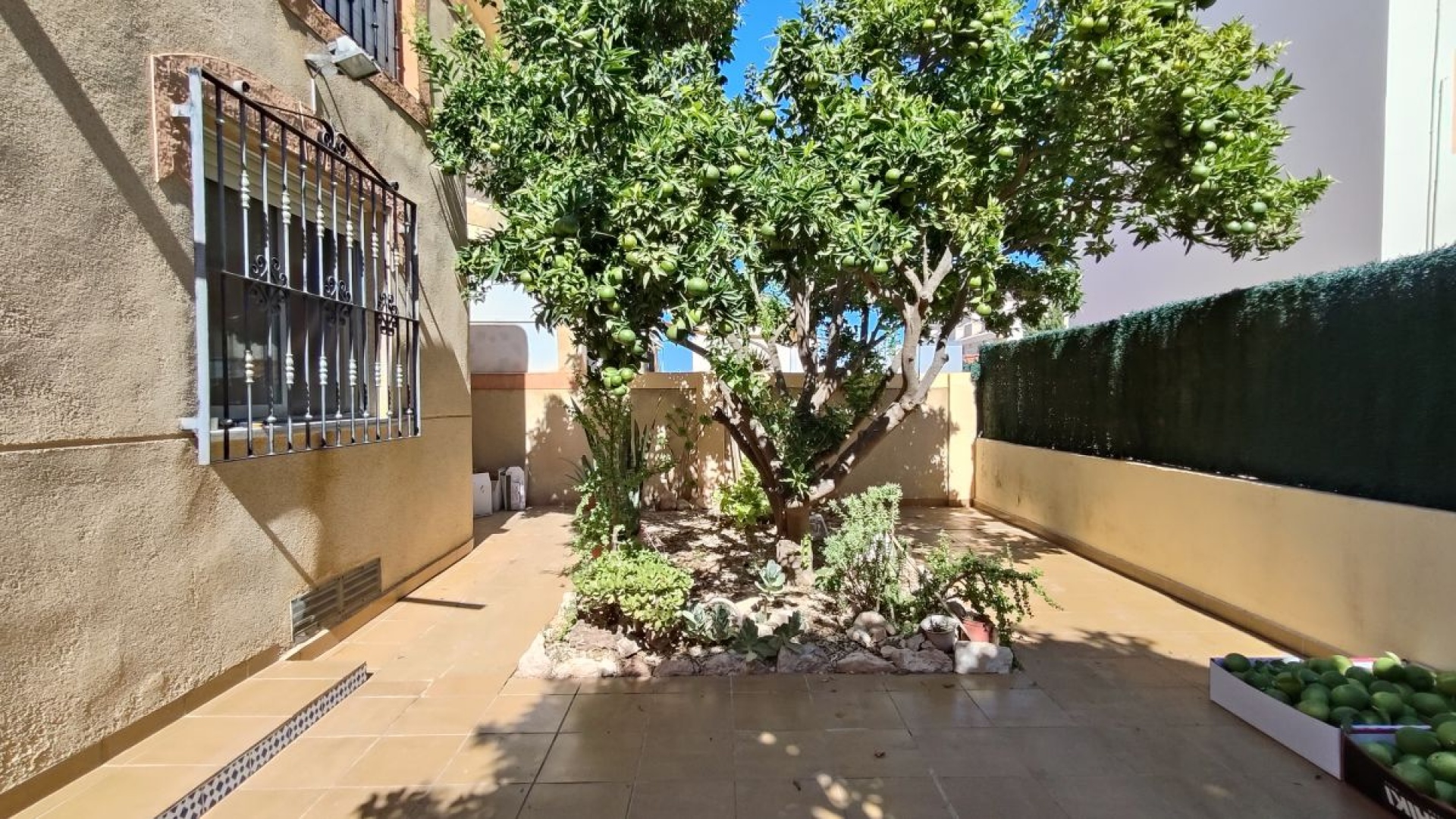 Revente - Appartement - La Zenia - amapolas