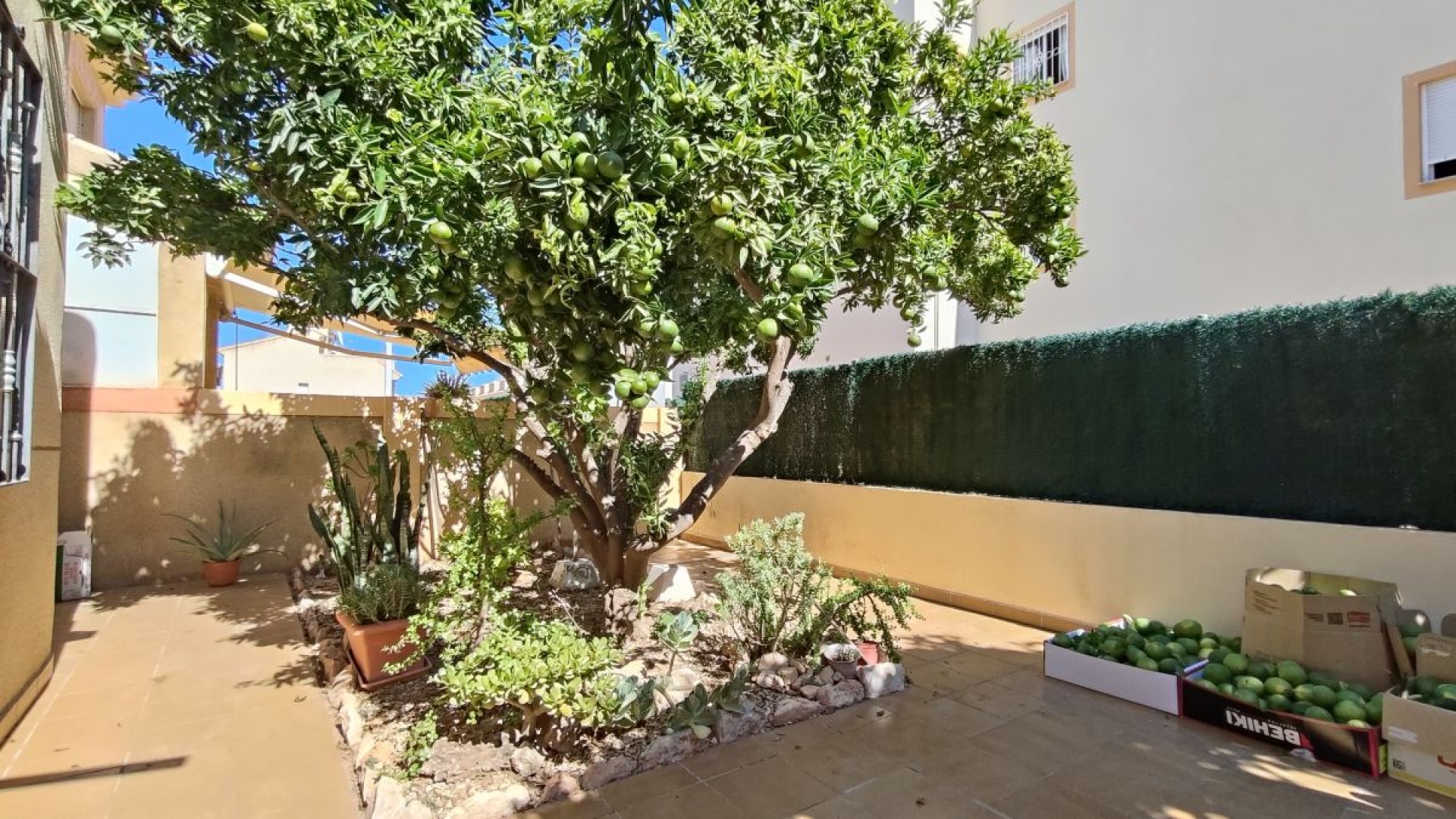 Revente - Appartement - La Zenia - amapolas