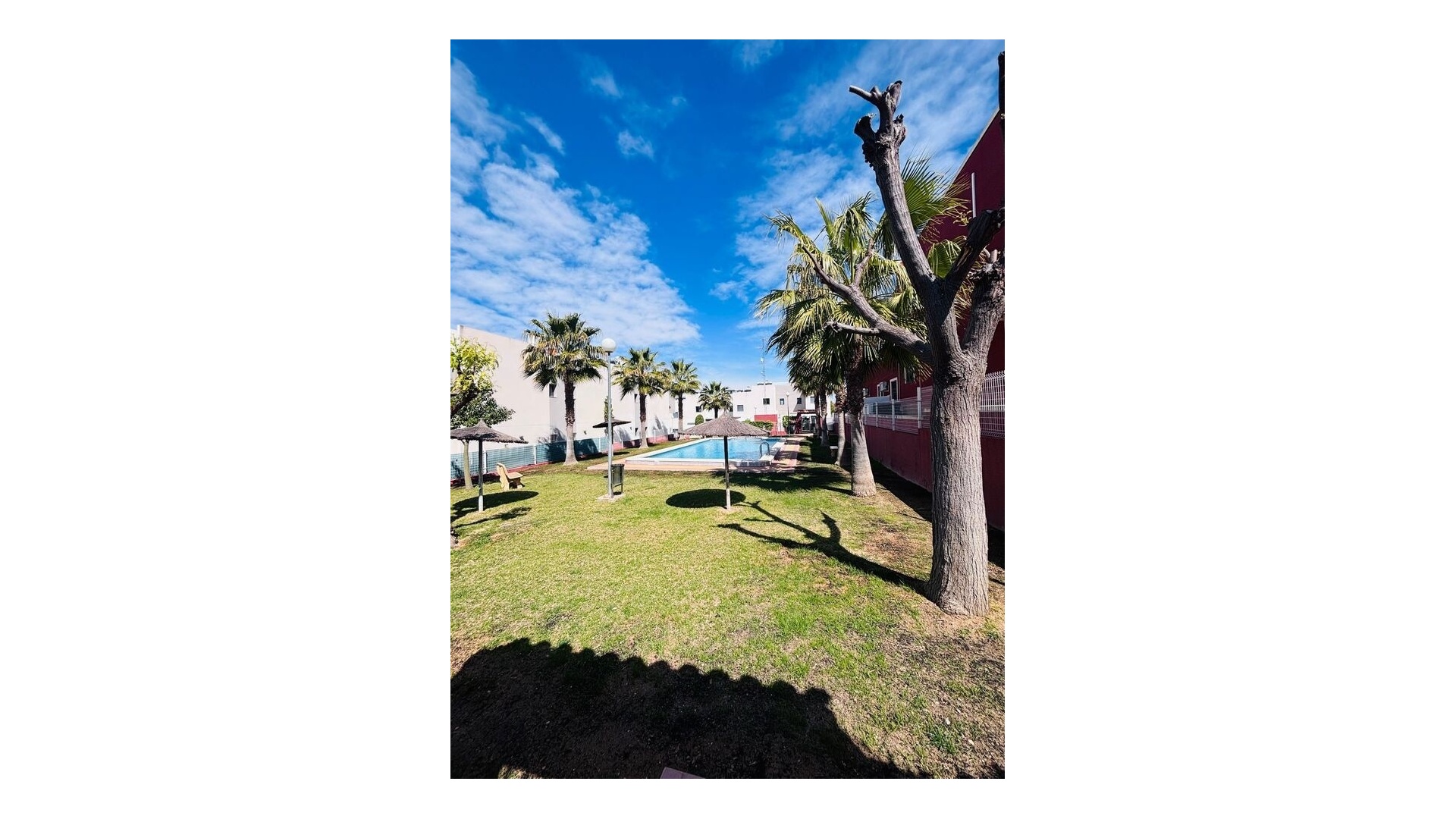 Revente - Appartement - Los Altos - dream hills