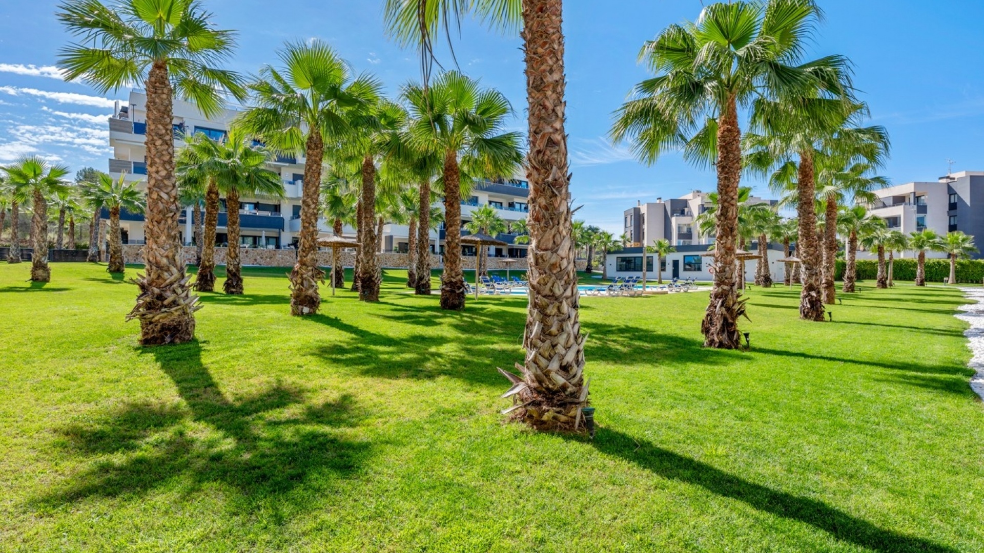 Revente - Appartement - Los Altos
