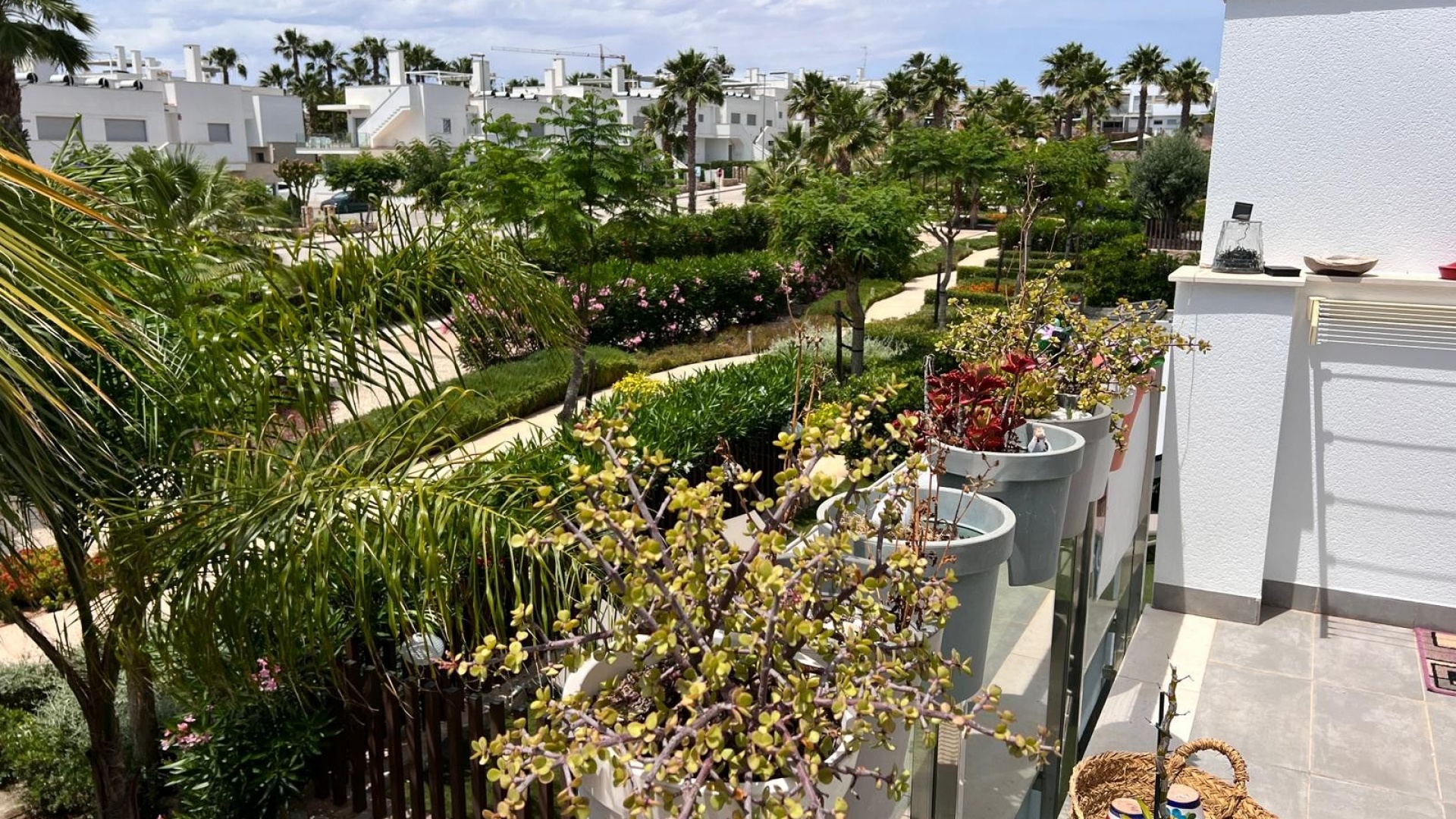 Revente - Appartement - Los Montesinos - Entre Naranjos