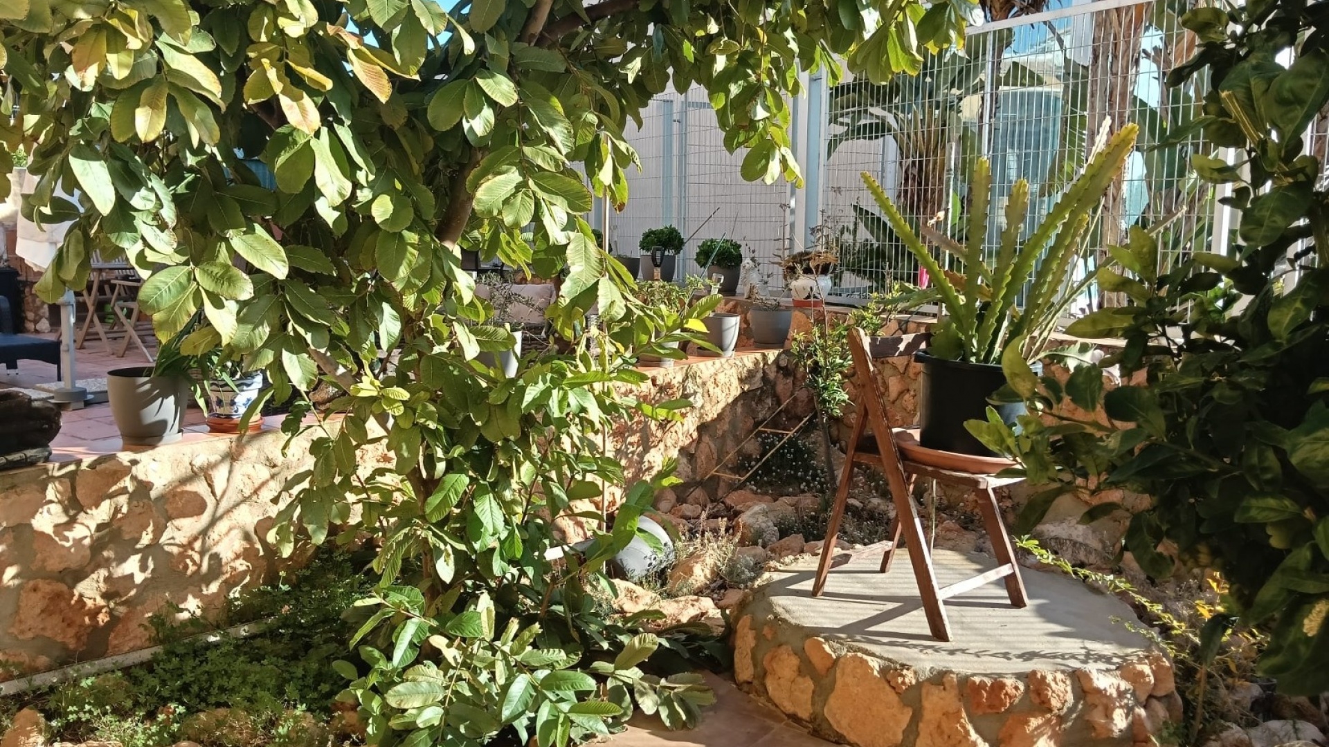 Revente - Appartement - Los Montesinos - La Herada