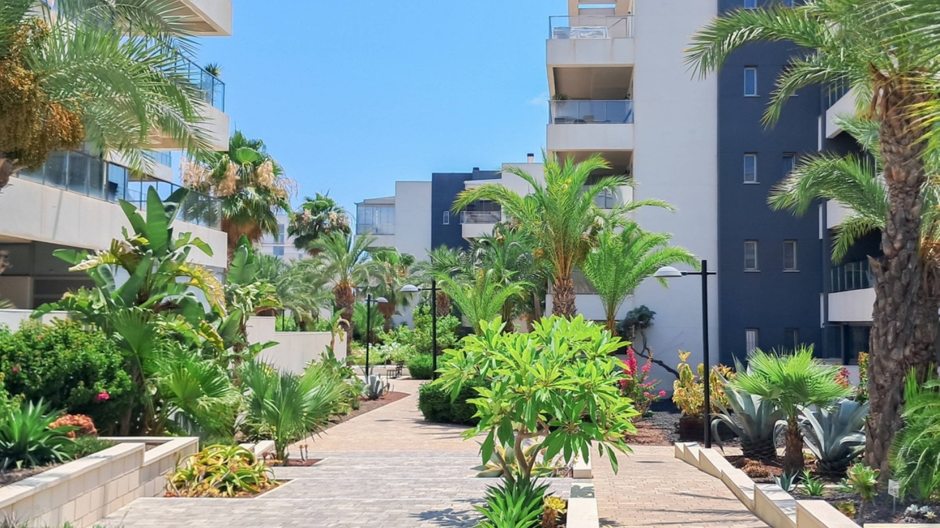 Revente - Appartement - Orihuela - Los Dolses